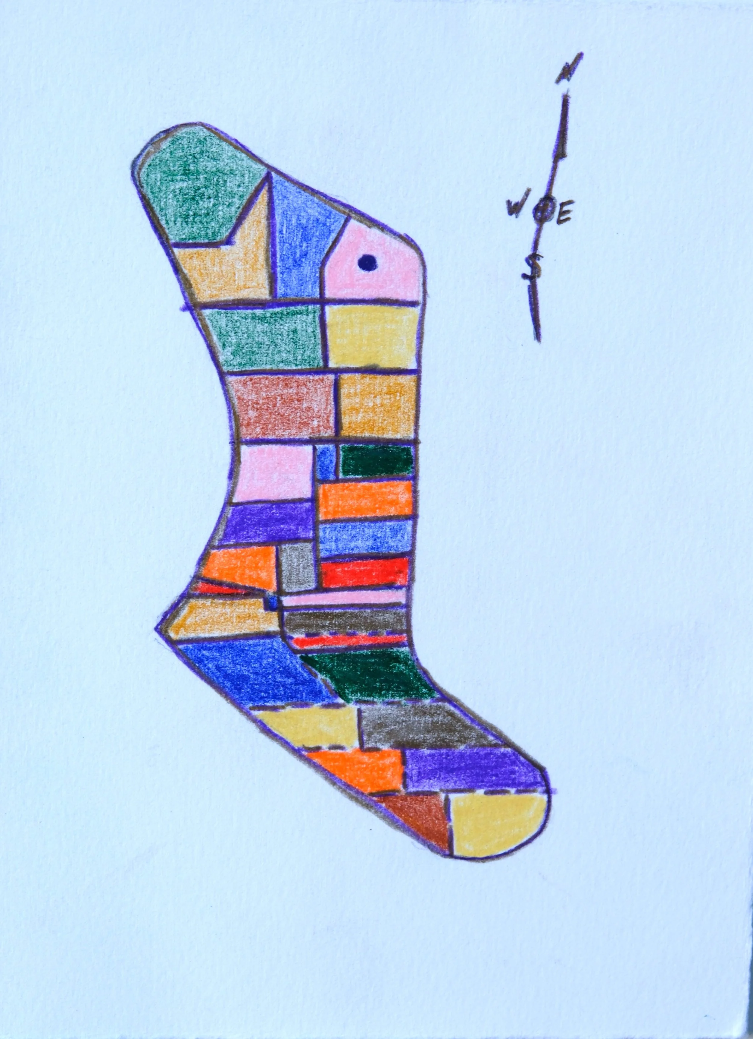 1 Eucalyptus Marshank Berkeley.JPG