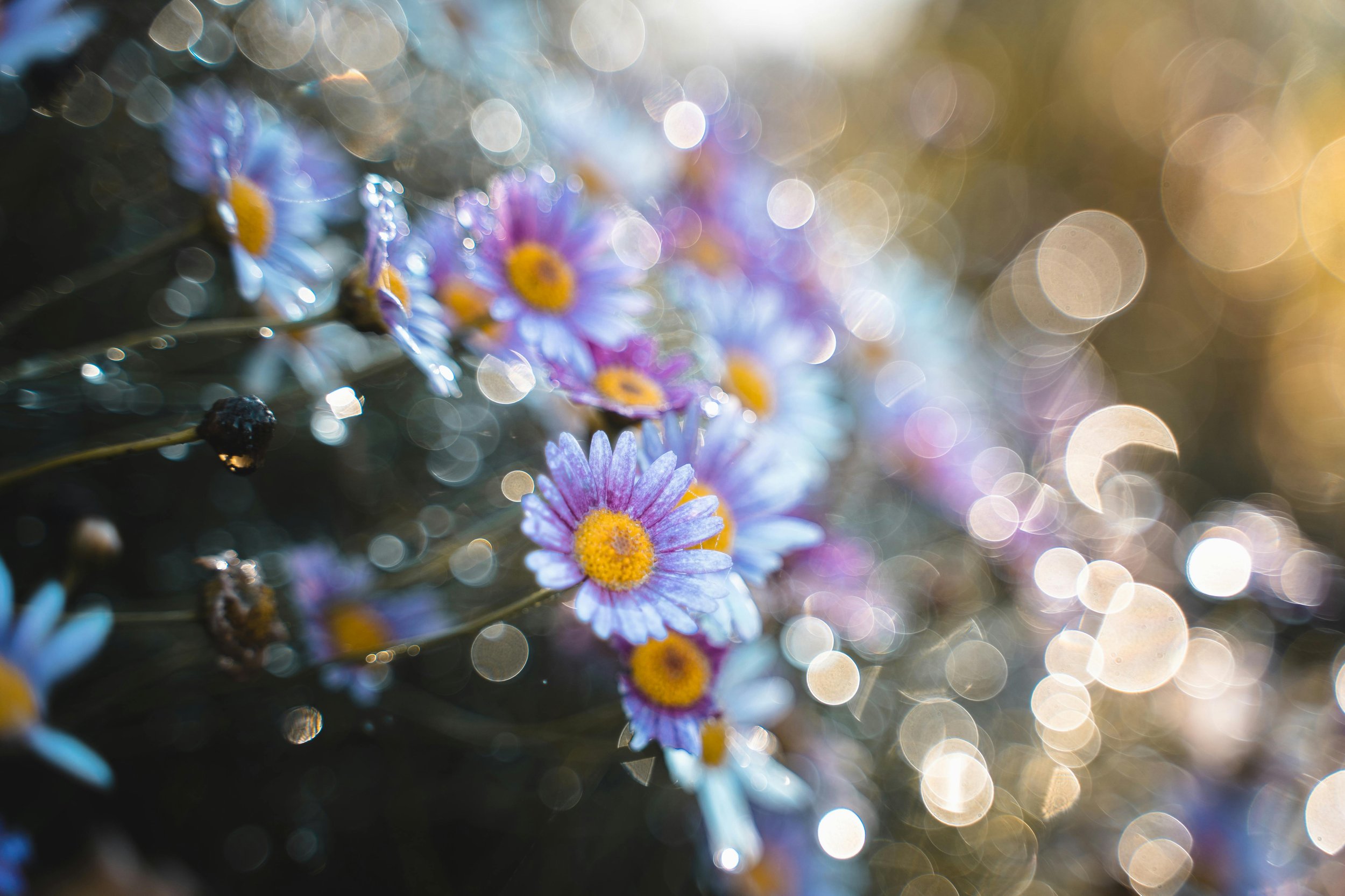 Small Group Sound Bath + Meditation | 2-4 people