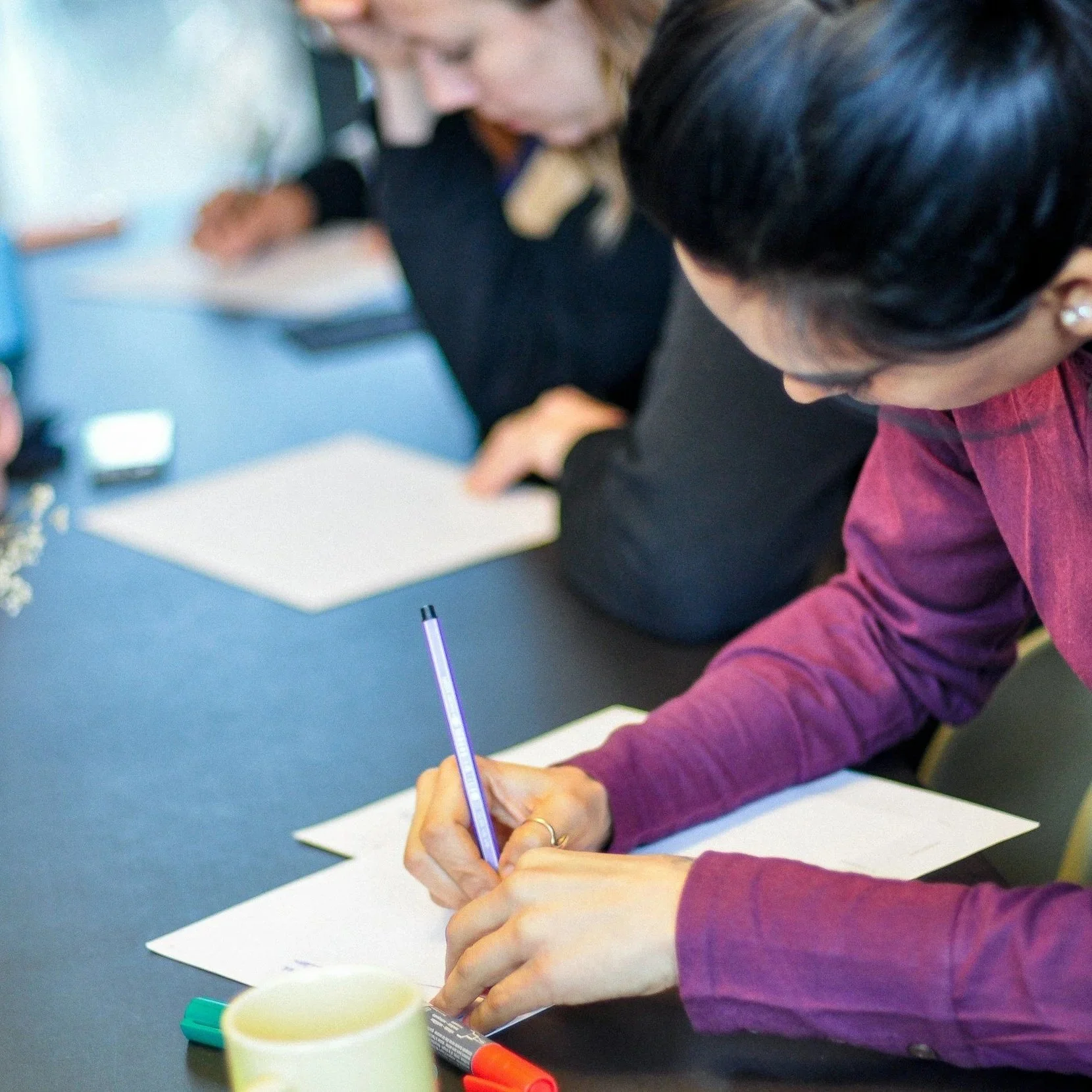 Tender Writing – Mentoring