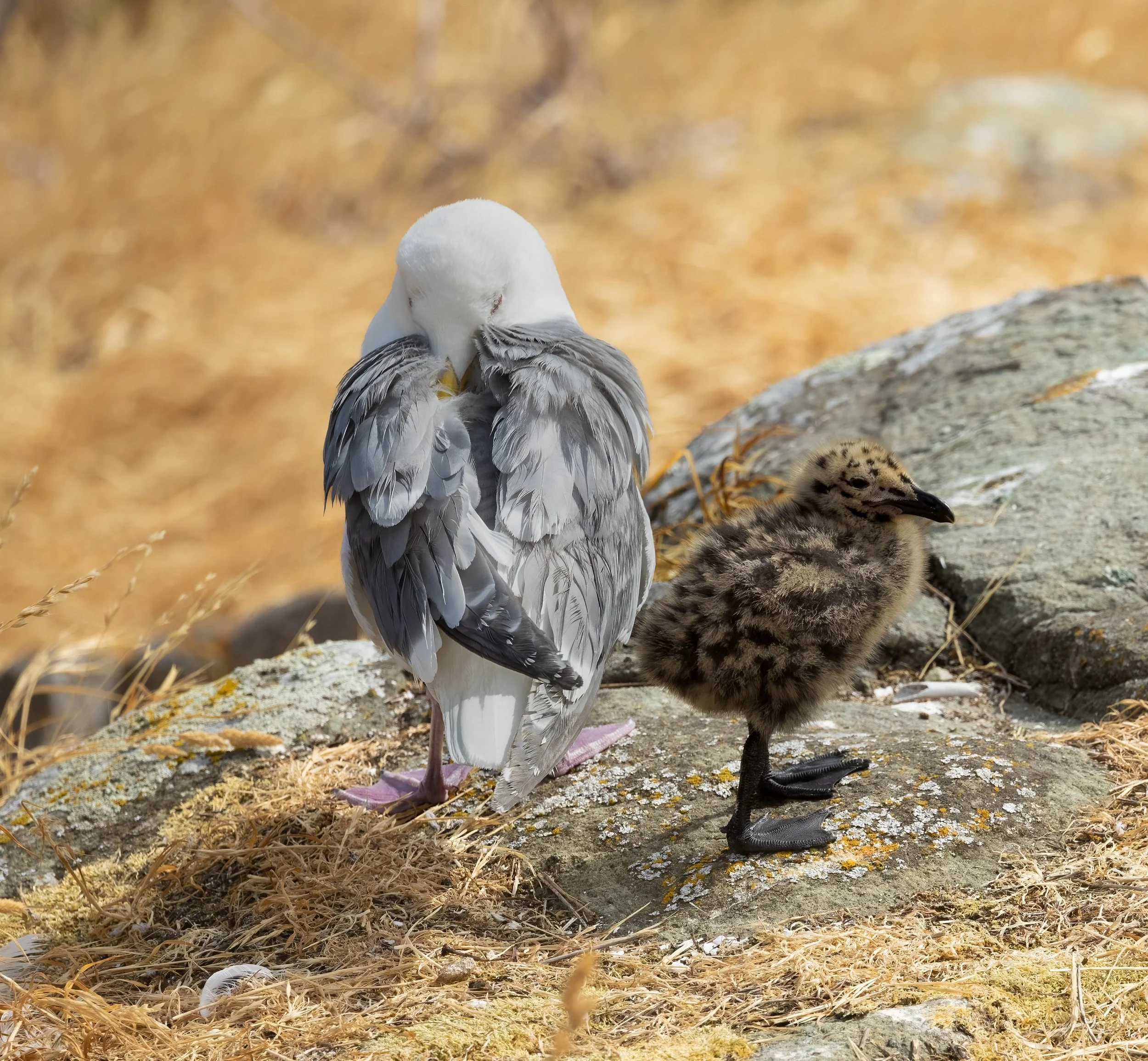 untitled-574-Edit.jpg