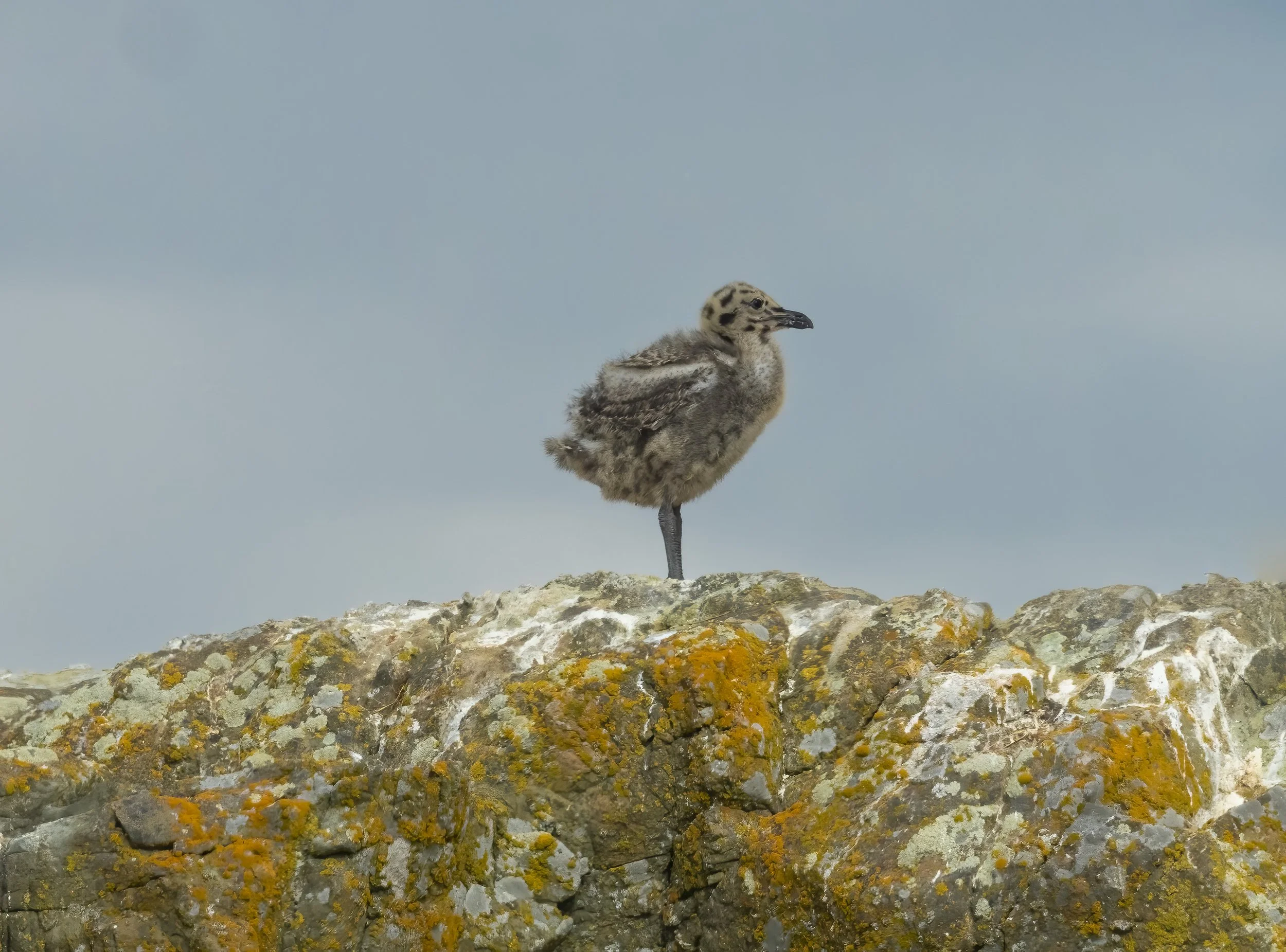 untitled-460-Edit-Edit.jpg