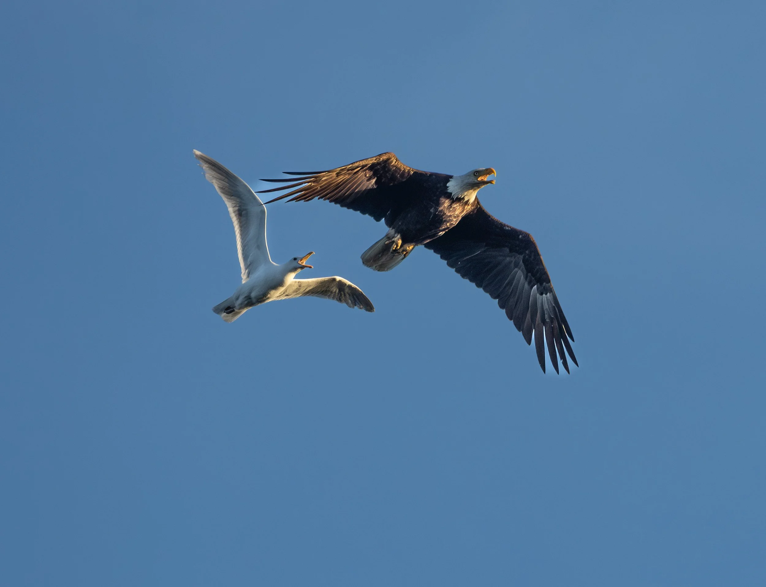 untitled-421-Enhanced-NR.jpg