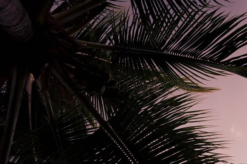 The Land of Aloha
