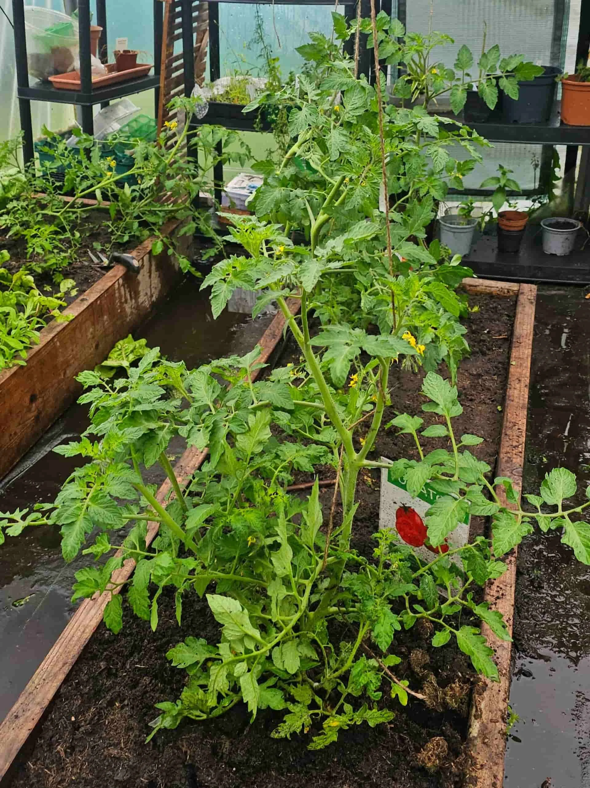 Growing Together Workshop