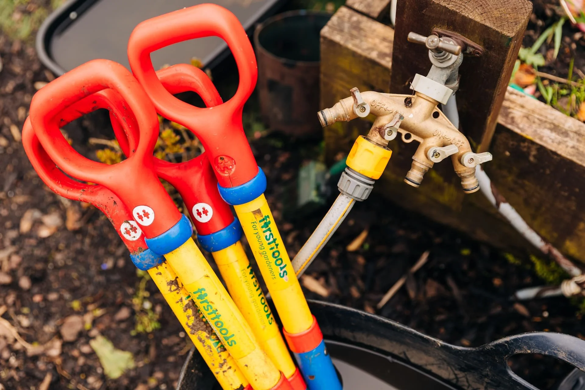 Three red and yellow gardening shovels with blue accents leaning against a garden faucet on a wooden fence in a garden.