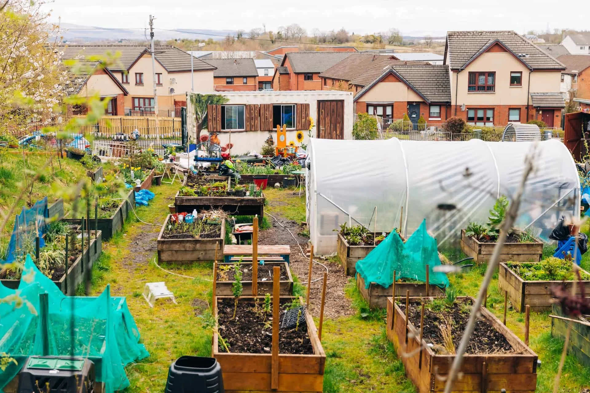 Community garden with raised beds, a green house, and residential houses in the background.