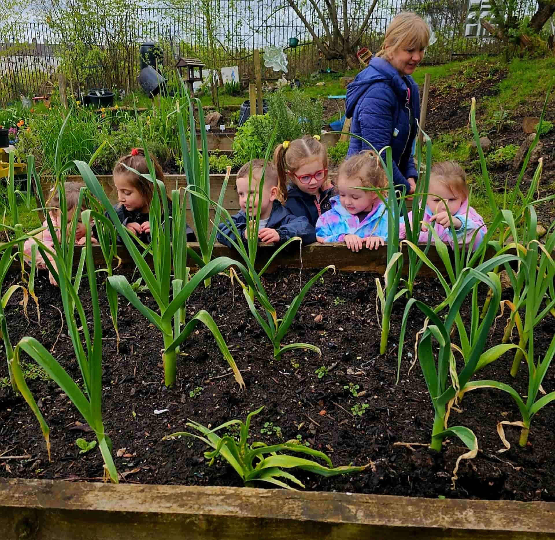 A group of young children are leaning over a raised bed in FARE Scotland's community allotment. The bed has green plants growing in dark soil that they are learning about.