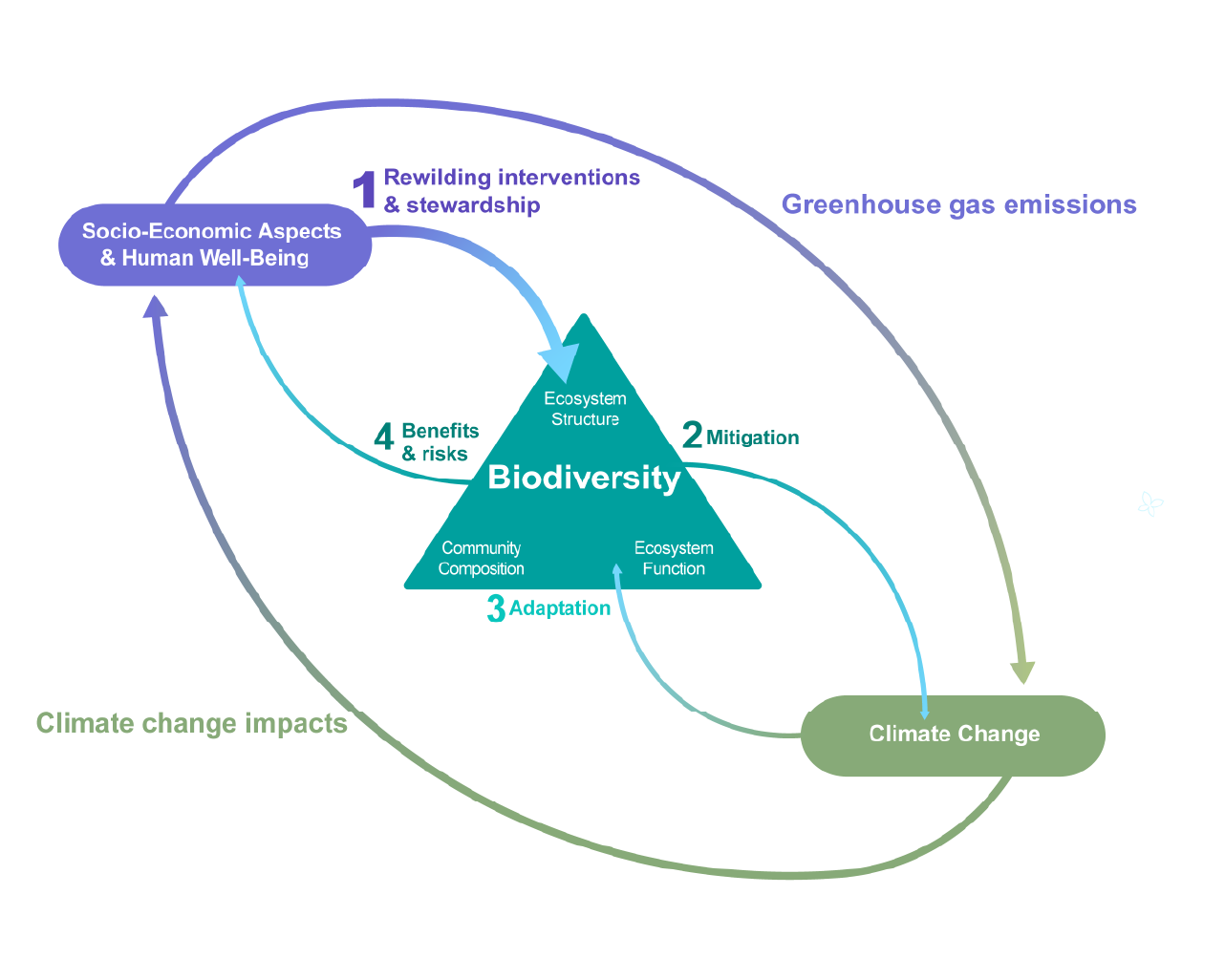 New maps show where European landscapes can advance climate and biodiversity goals together