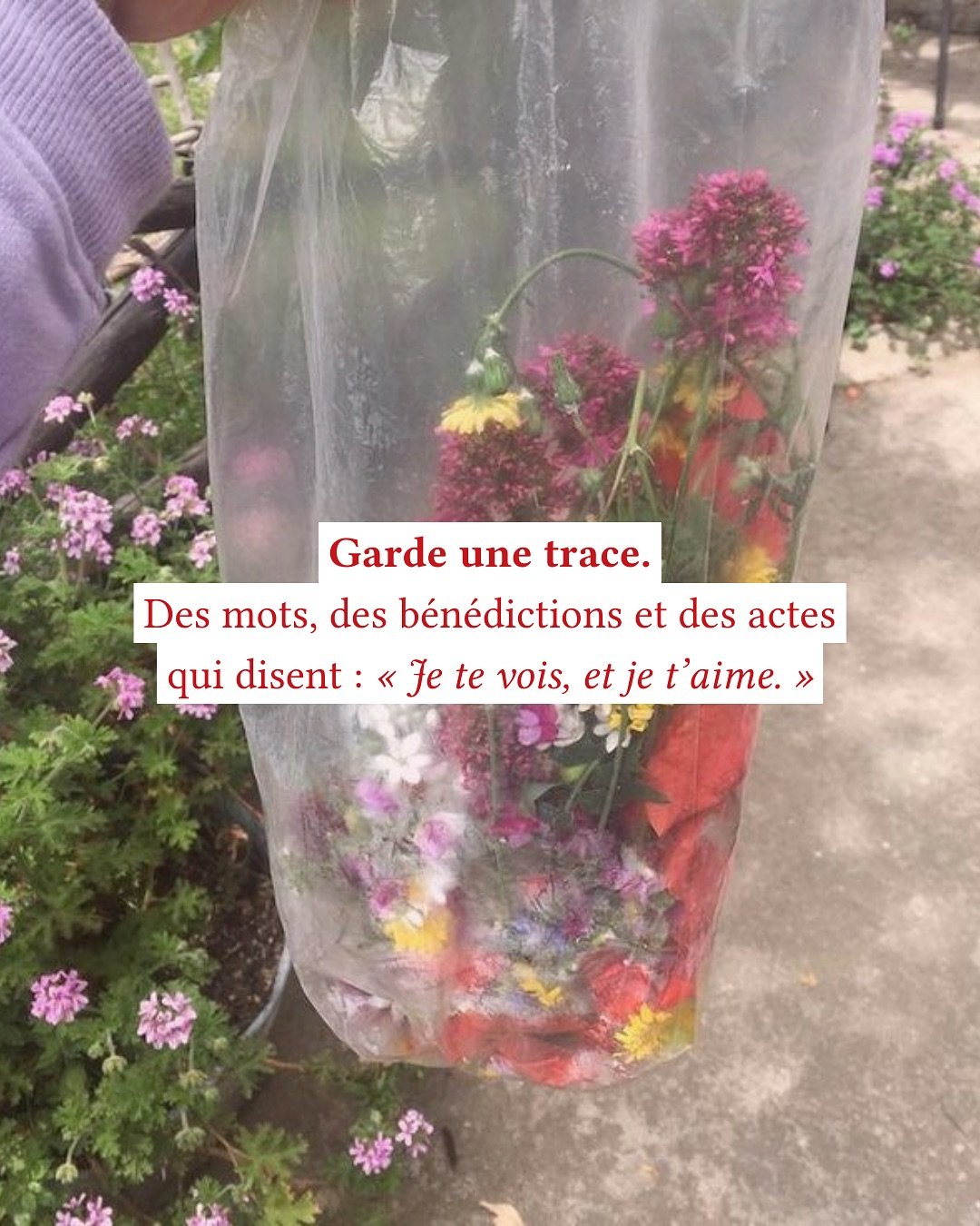 🌸 Gardes-en une trace, compte-les et souviens-toi, au jour de la prochaine temp&ecirc;te, que tu es vue et aim&eacute;e.