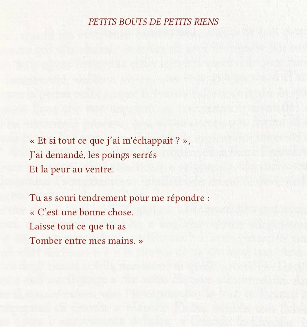Petit bout d&rsquo;espoir, de mon livre &ldquo;Petits Bouts de petits riens&rdquo;. Disponible au lien dans ma bio 🌀