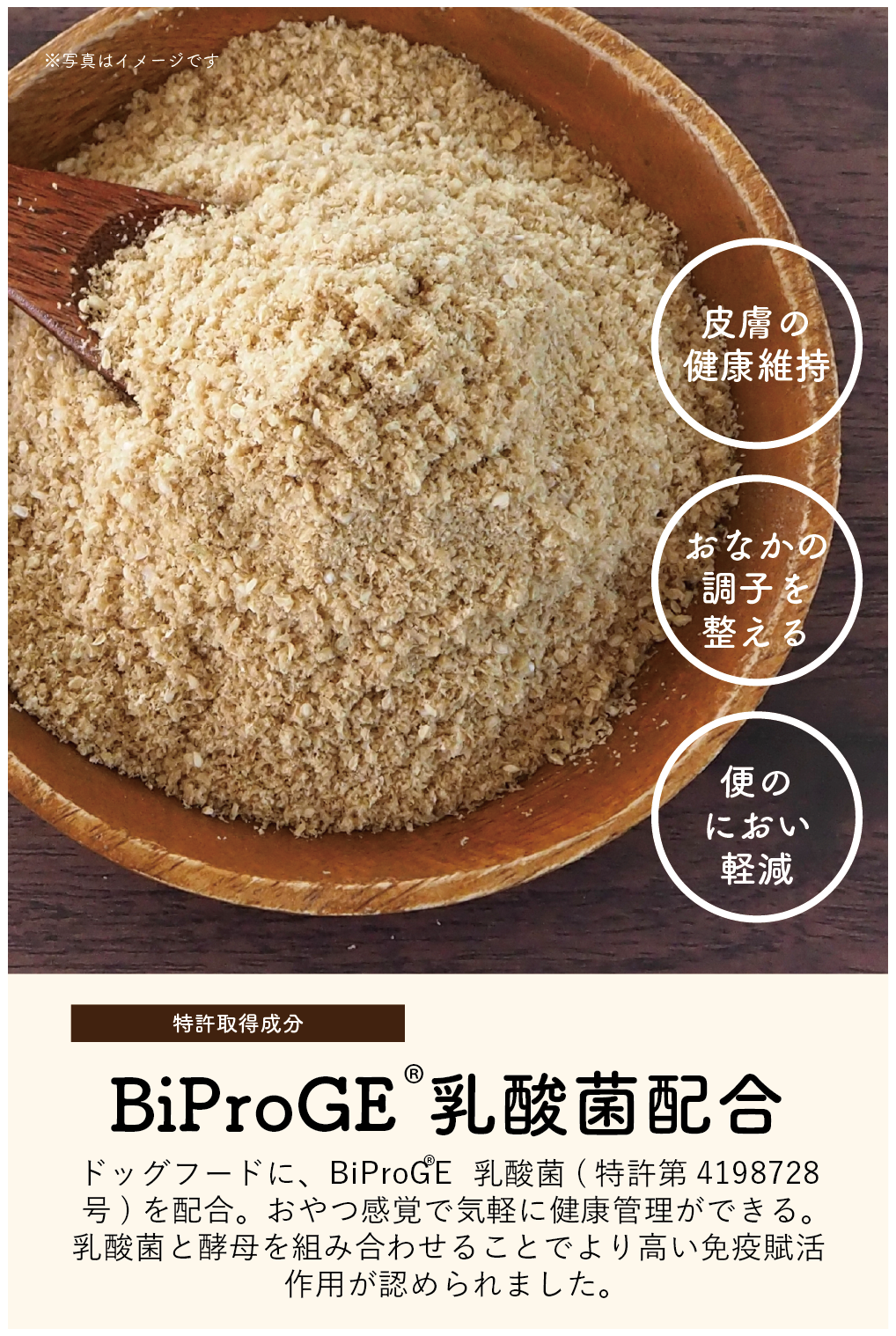 image04.png