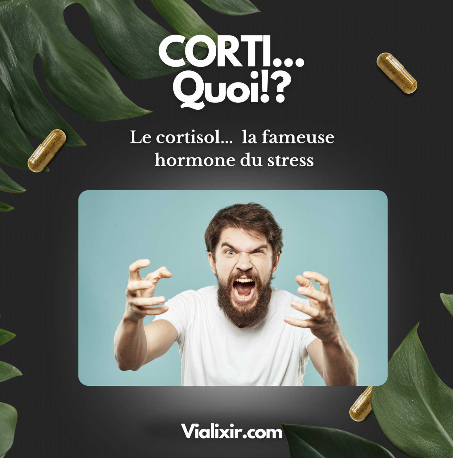 Capture d’écran 2026-04-07 à 17.07.57.png