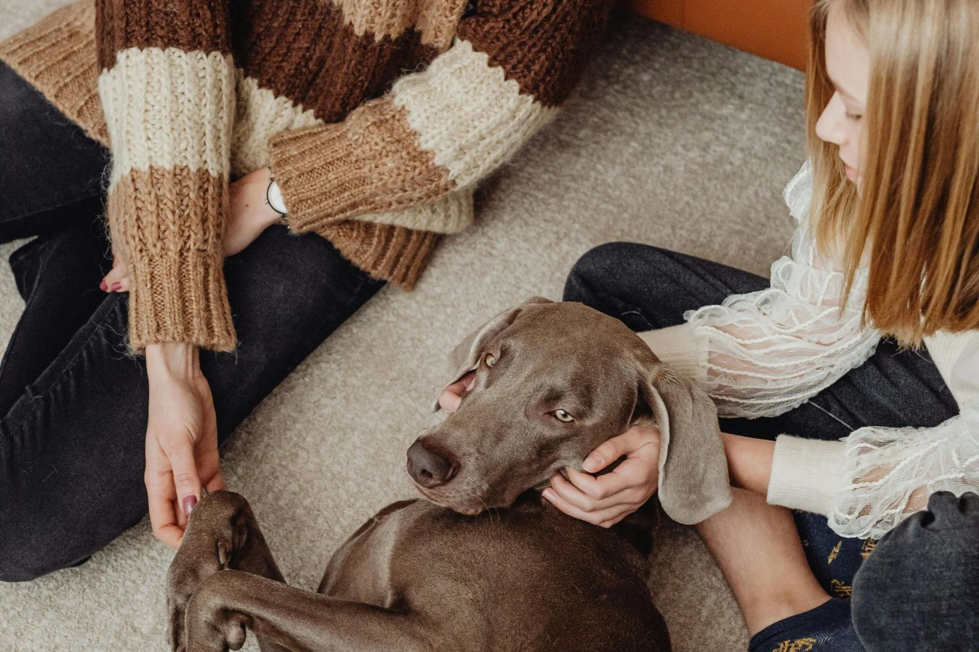 cute dog cuddles family on cream pet-friendly carpet