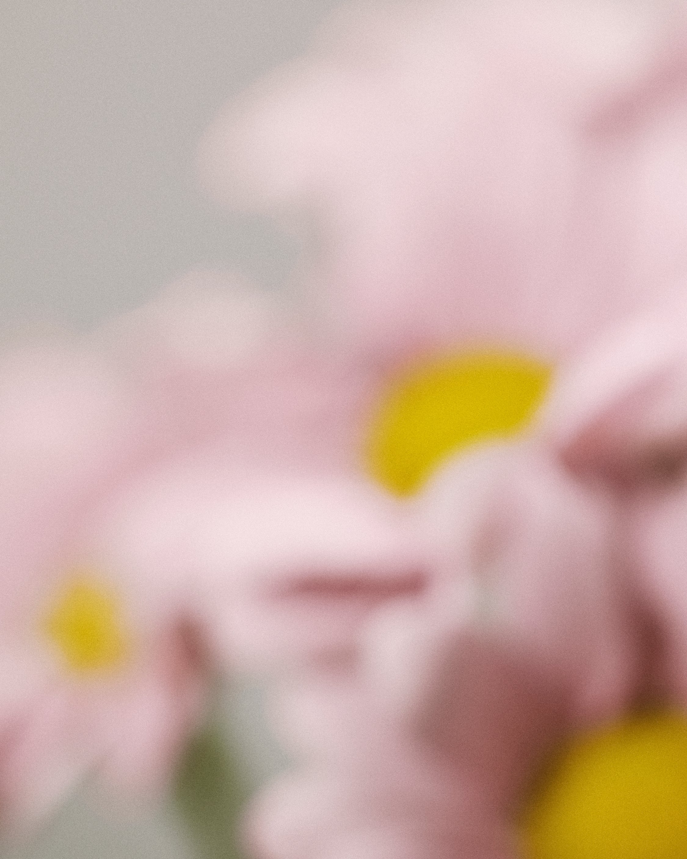 240226 ROWSE PORTRAIT COLOUR 30.jpg