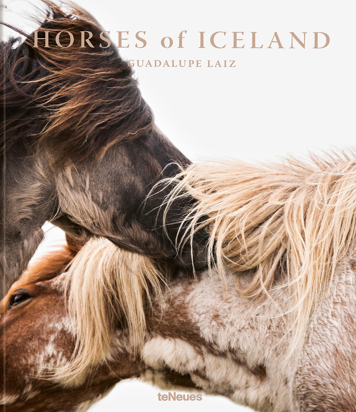 Cover Horses of Iceland for email  copy.jpg