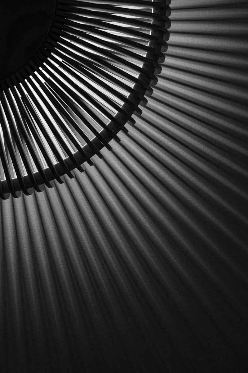 photographe label EPV entreprise du patrimoine vivant paris