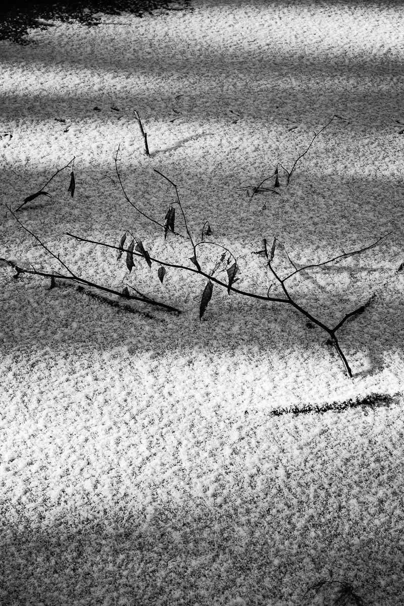 photographe artisanat d'art paris-15.jpg