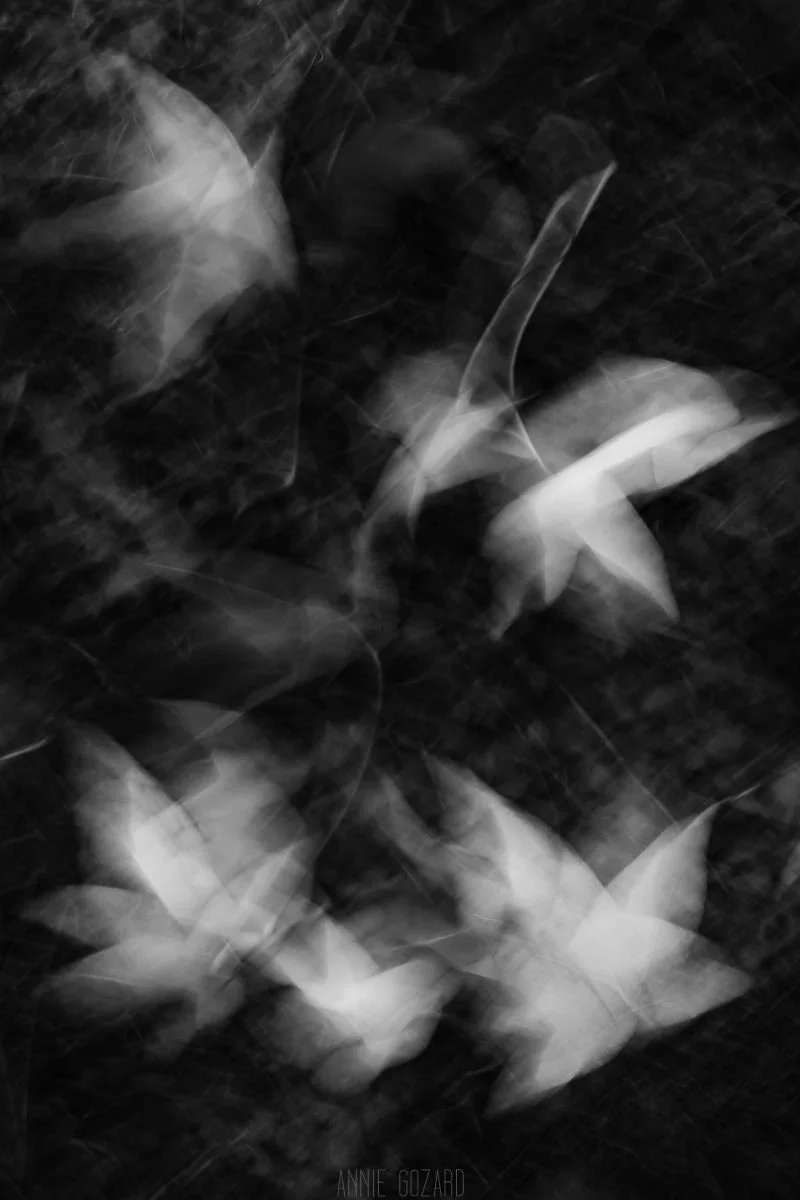 photographe artisanat d'art paris-11.jpg