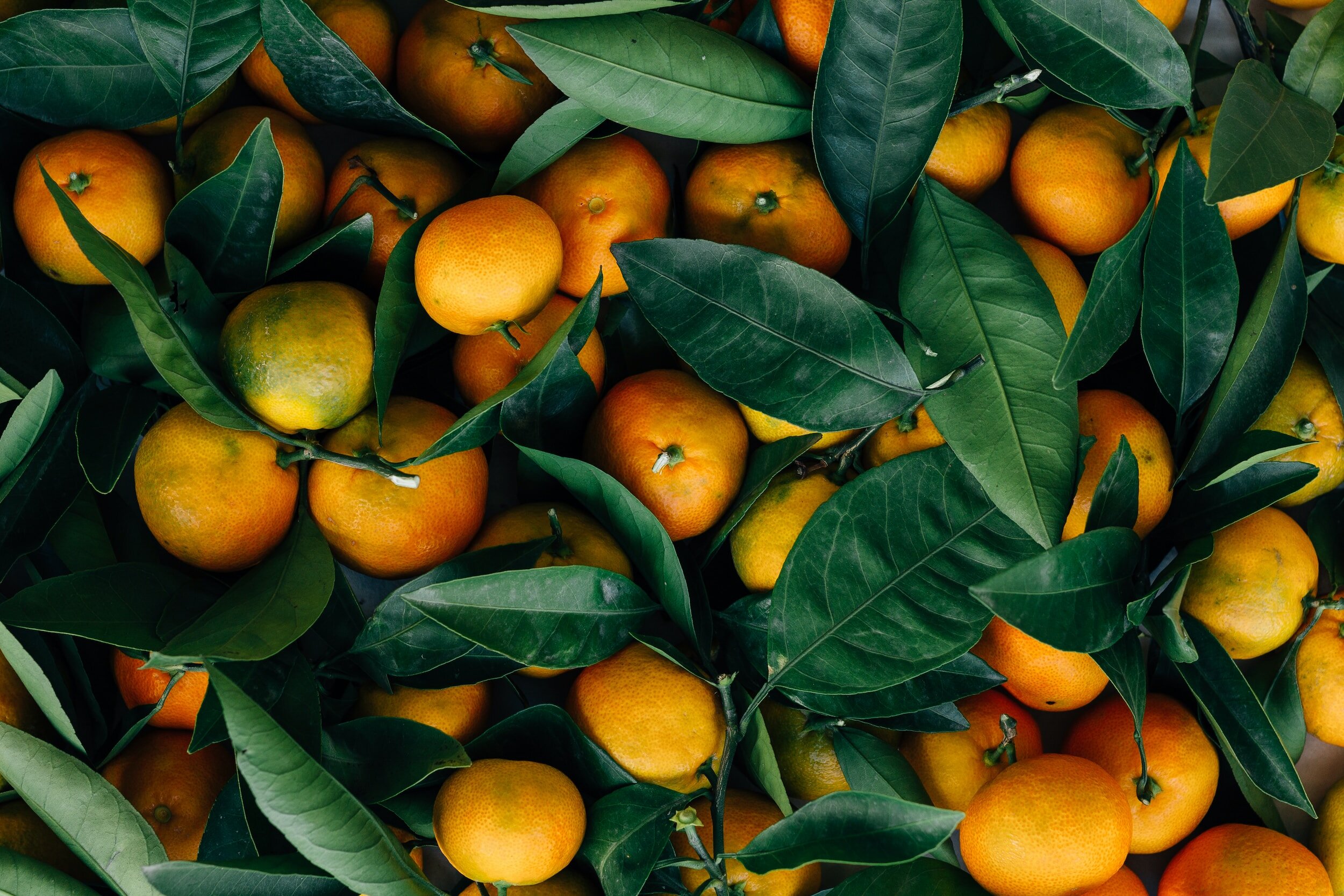 Mandarin