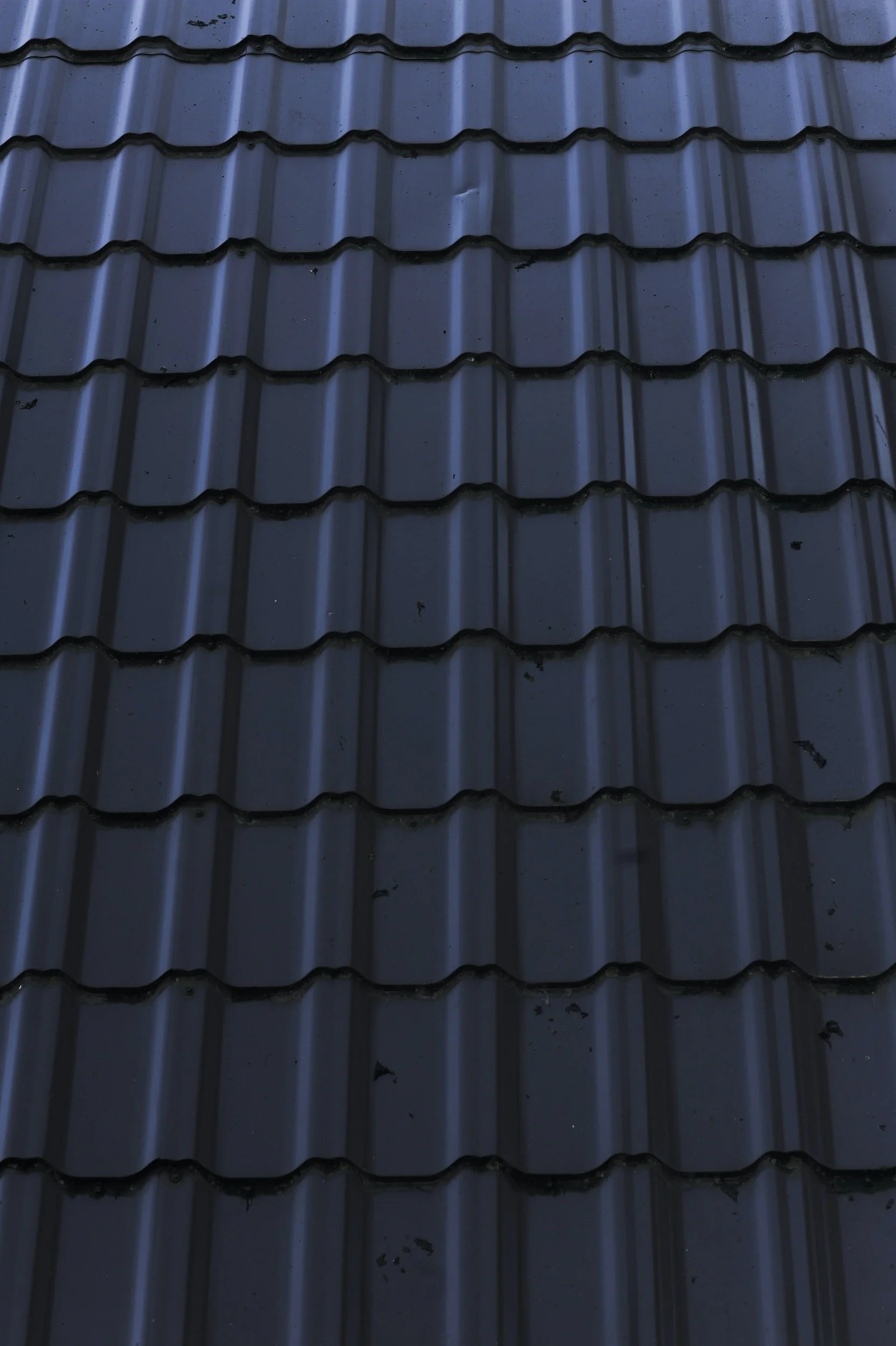 4 Reasons Why Metal Roofs Reign Supreme (and 4 Things to Consider)