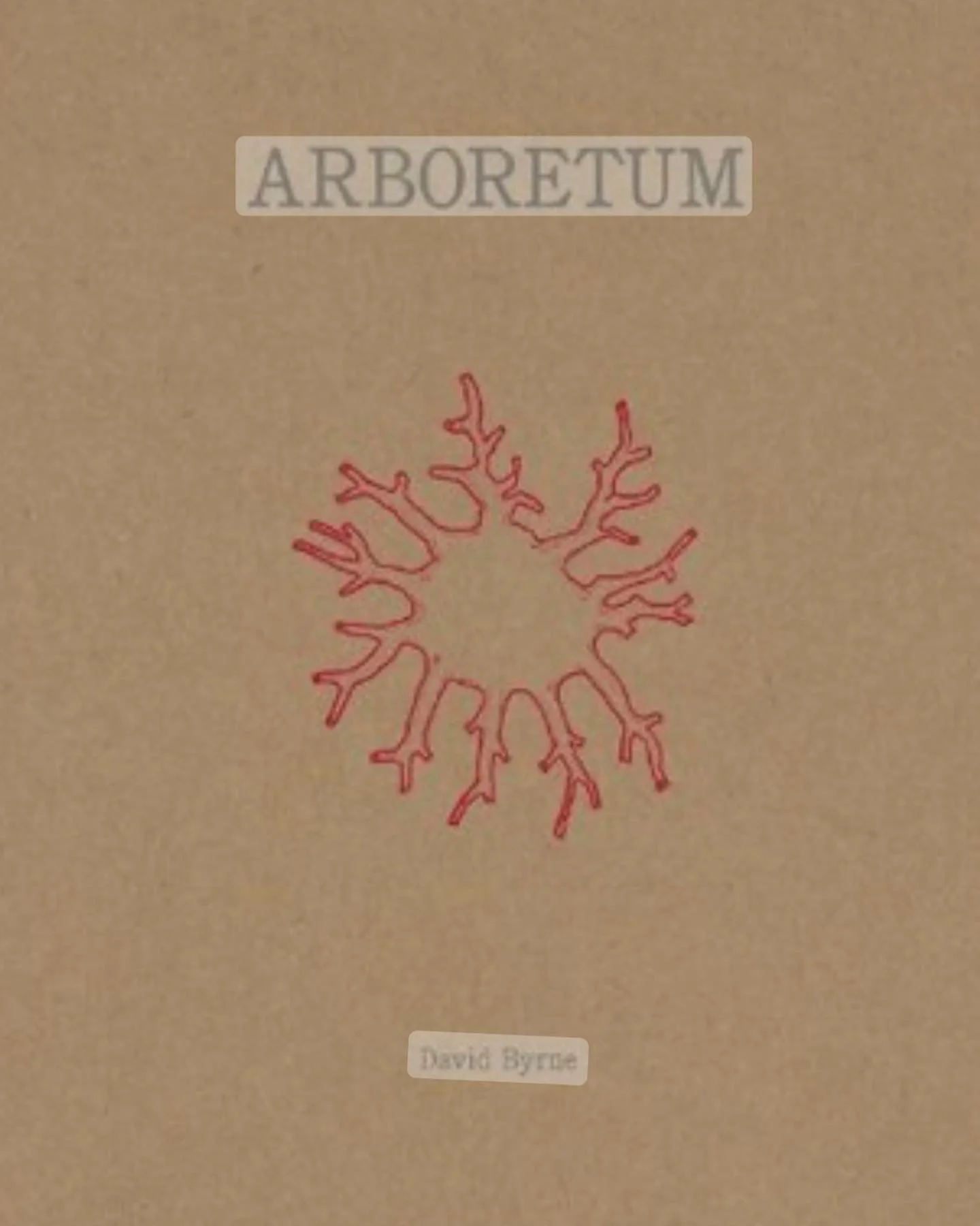 Unraveling the delicate drawings of musician David Bryne. Tracing back the lineage of analytical drawings, charts, maps, &ldquo;trees&rdquo; back to the esoteric, finding the space to explain the unknown through the representational/figurative.
