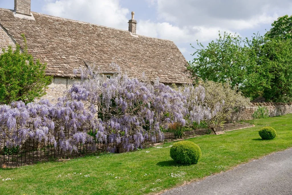 Thinking of a May Wedding? 🌸 

Wisteria spilling over the stone walls, a tree-lined lane that slows everything down, and open fields that stretch a little further than expected.

You&rsquo;ll find yourselves wandering off for &ldquo;just a minute&rd