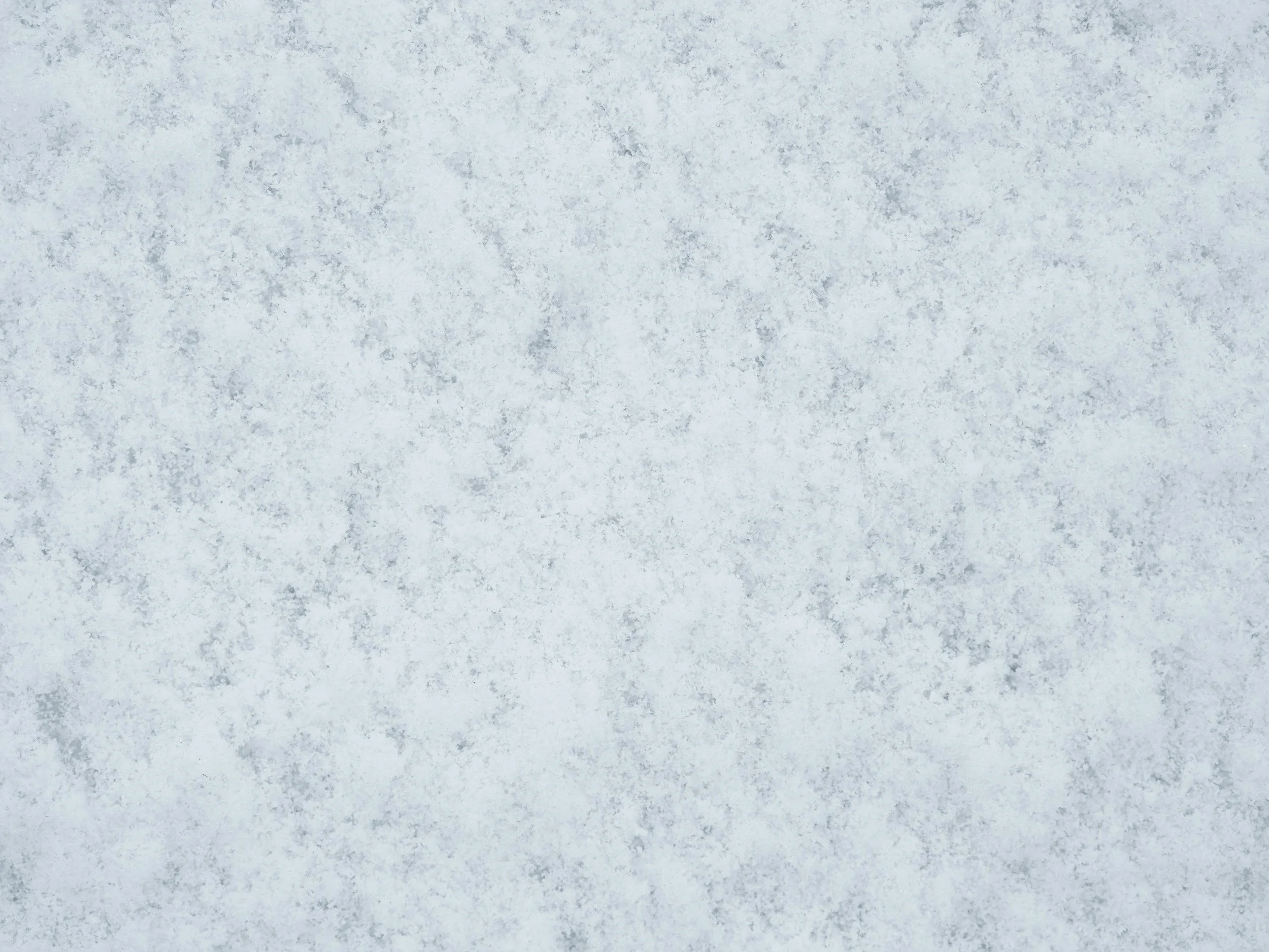 unsplash-image-WuVnejweXBw.jpg