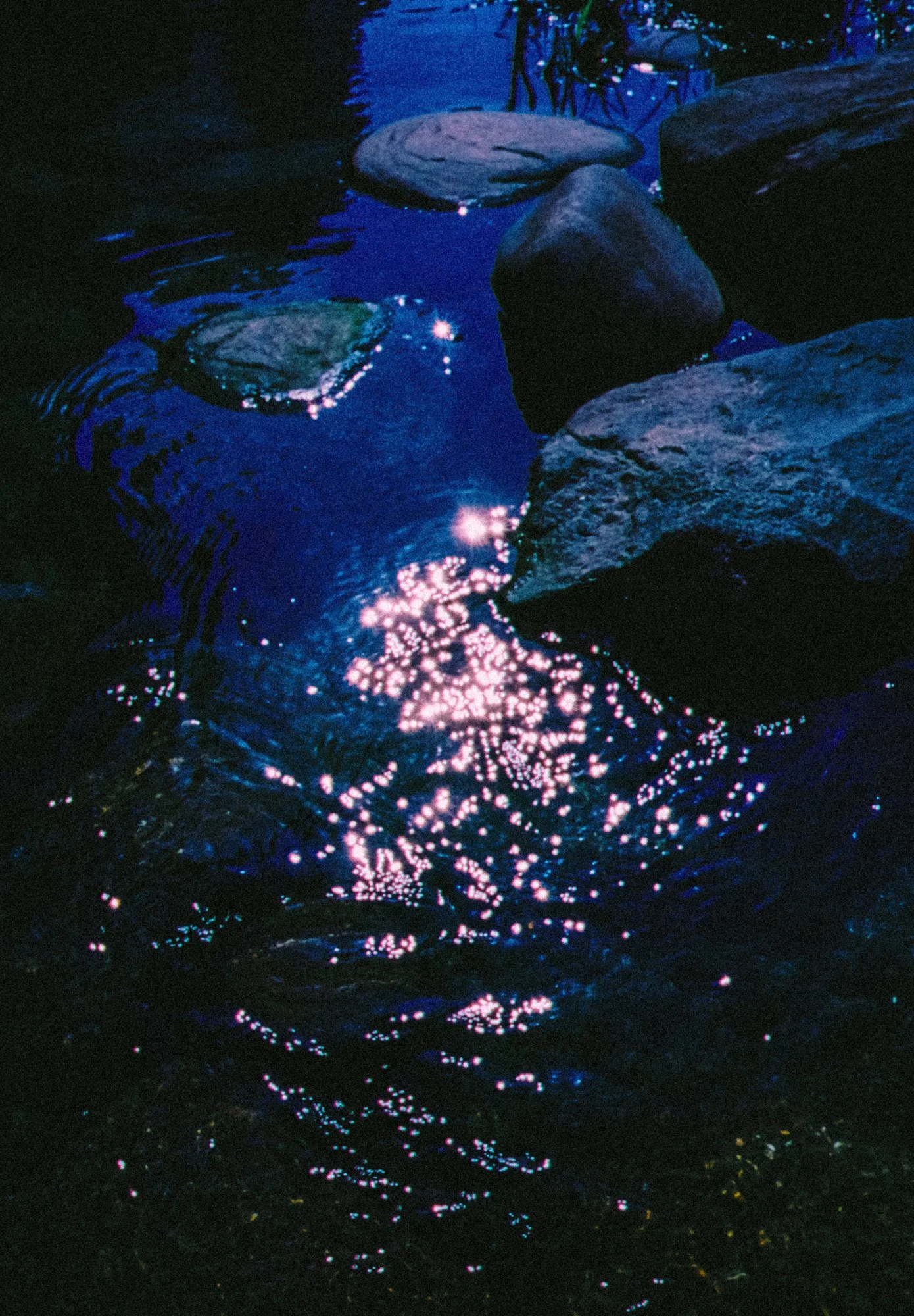 32-2ba87.JPG
