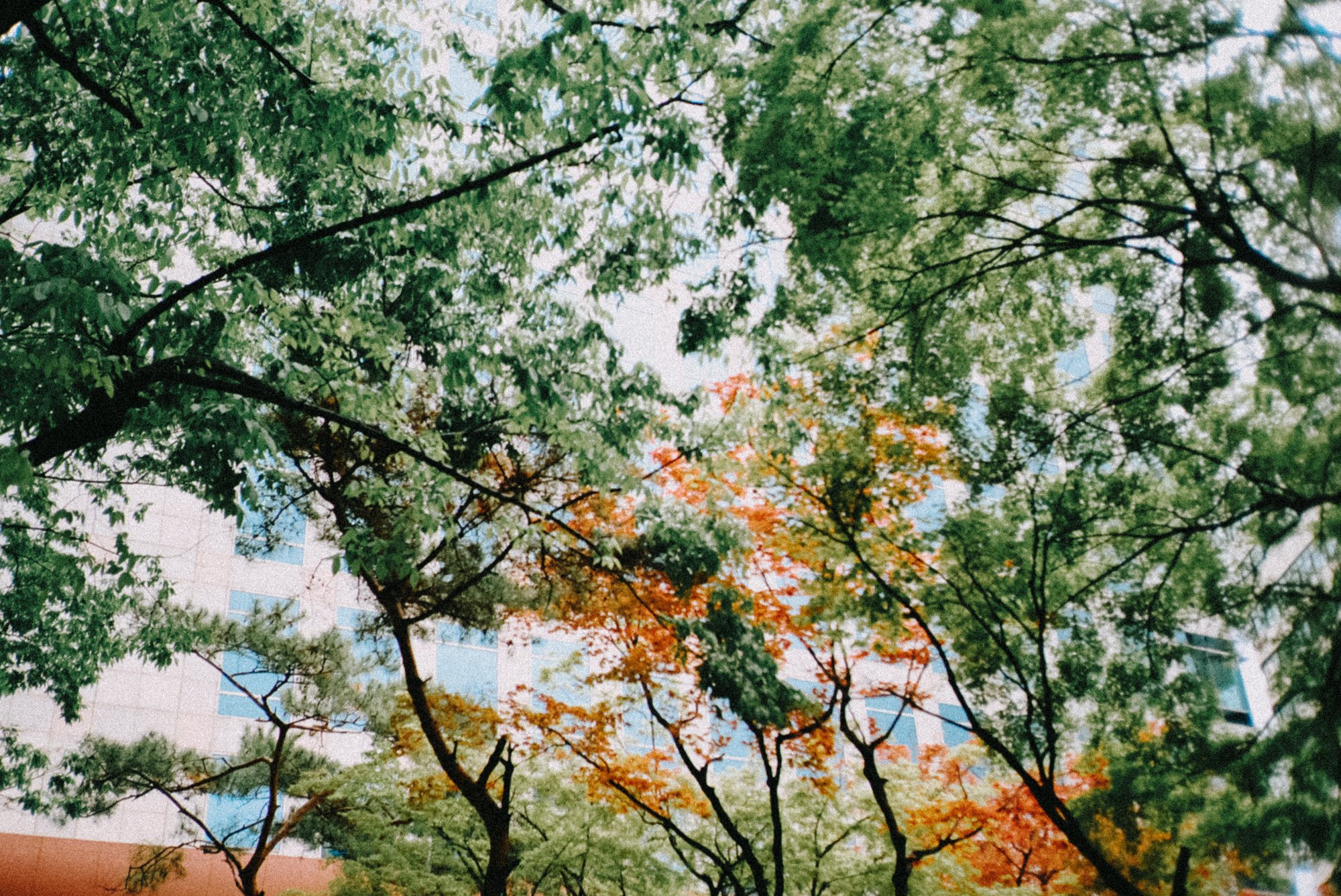 colors Korea©Julien Hay-4.JPG