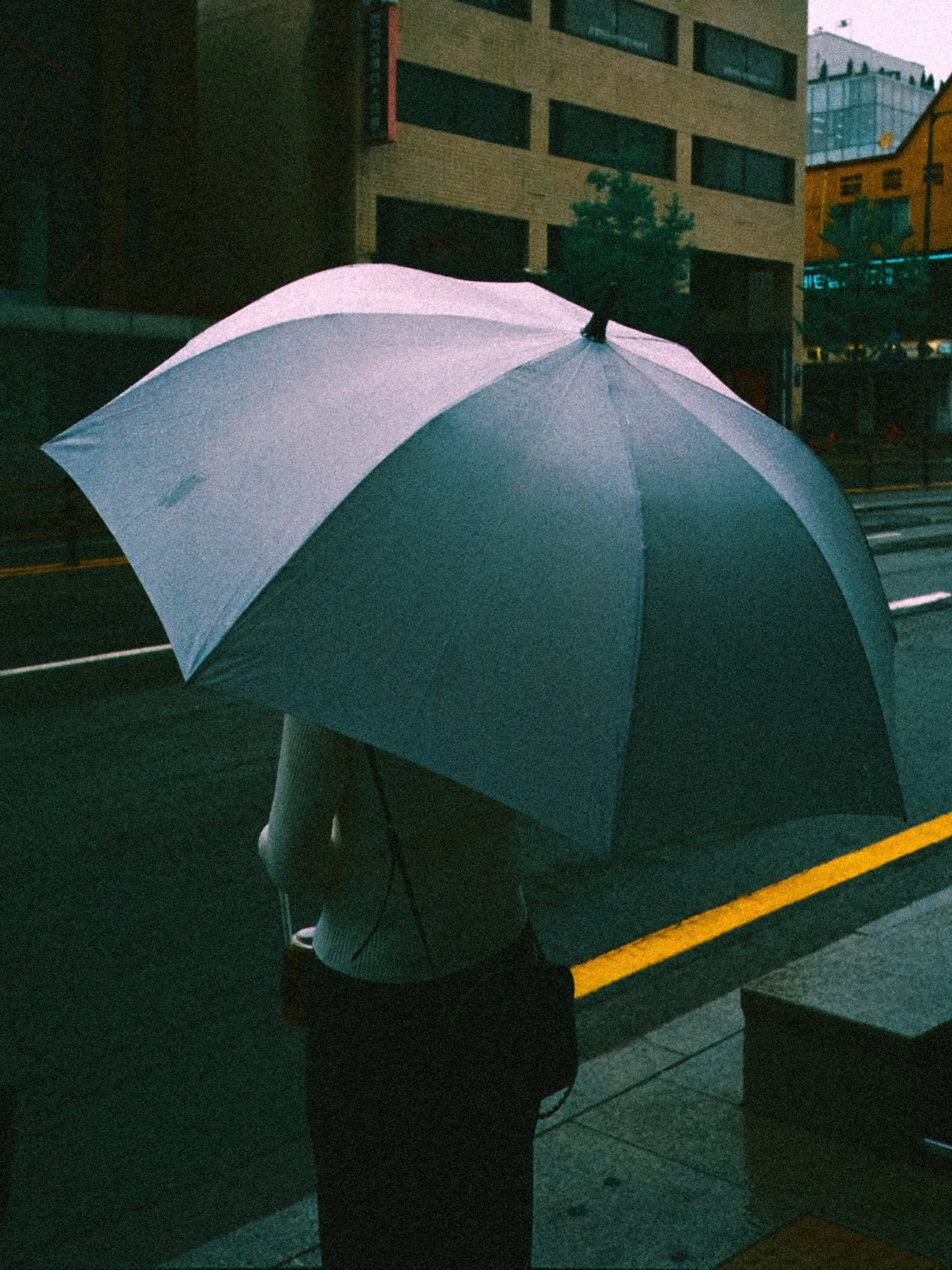 31-26f55.JPG