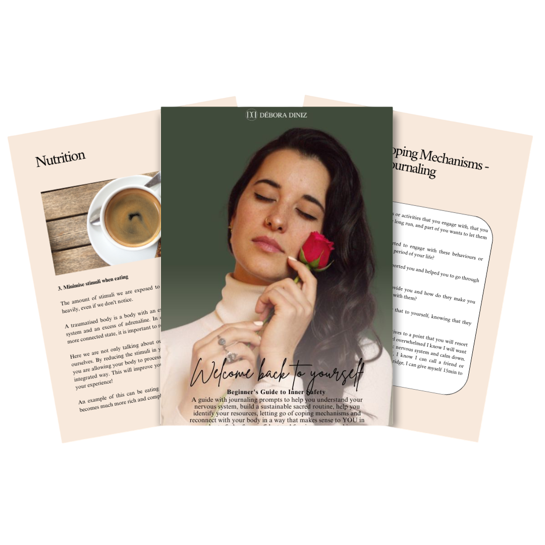 Beginner's Guide to Inner Safety - eBook - English