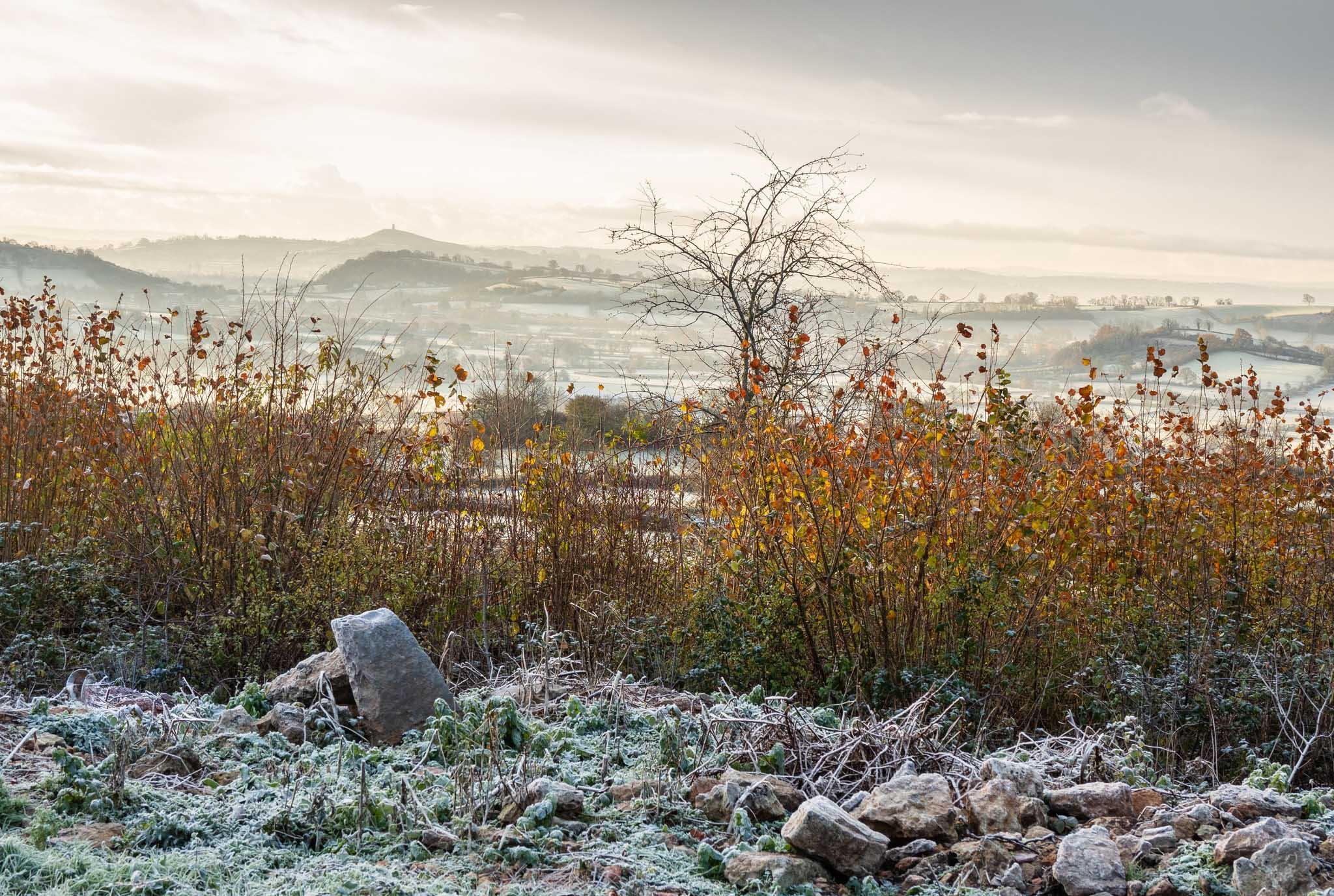 Autumn Frost over Avalon