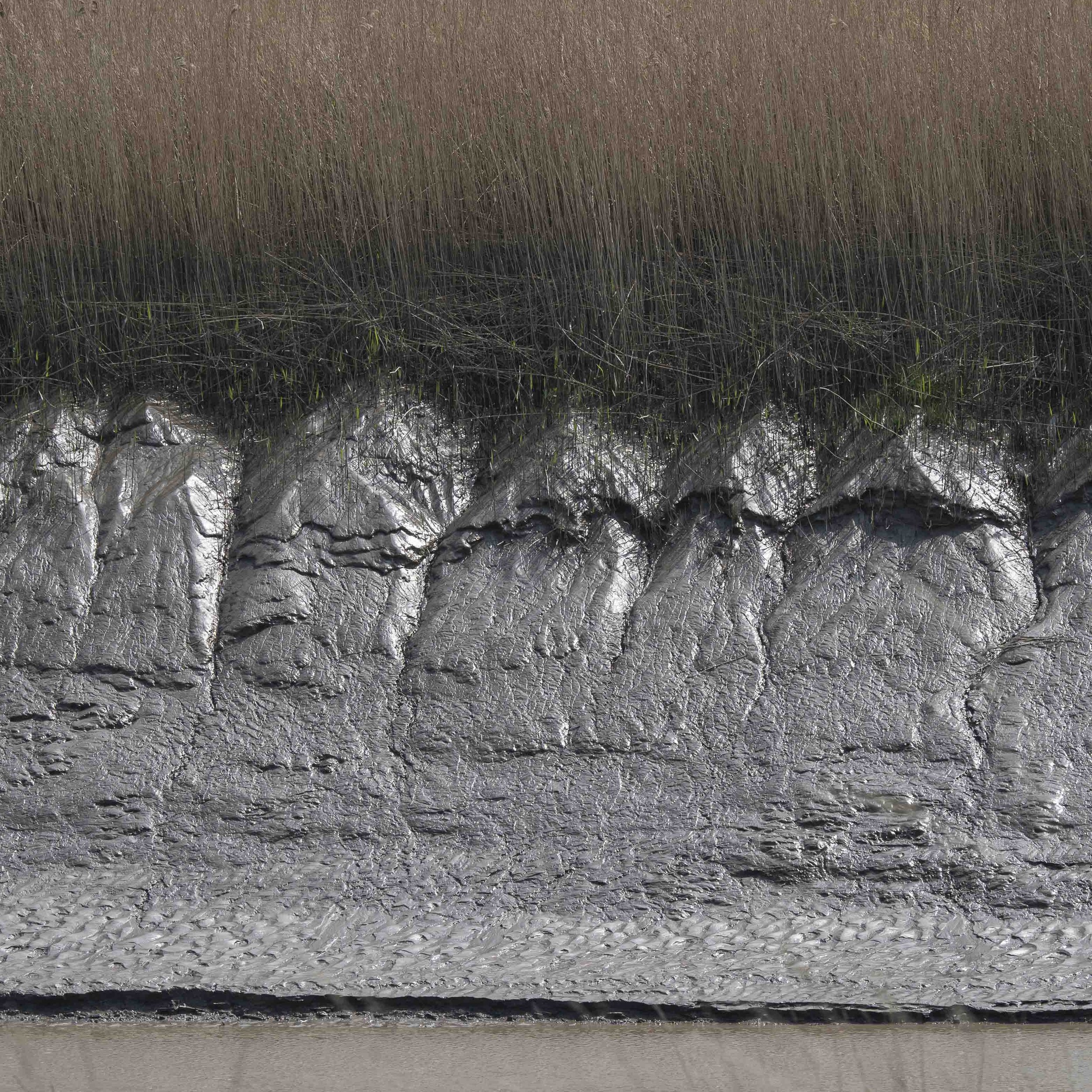 Estuary Mud Bank