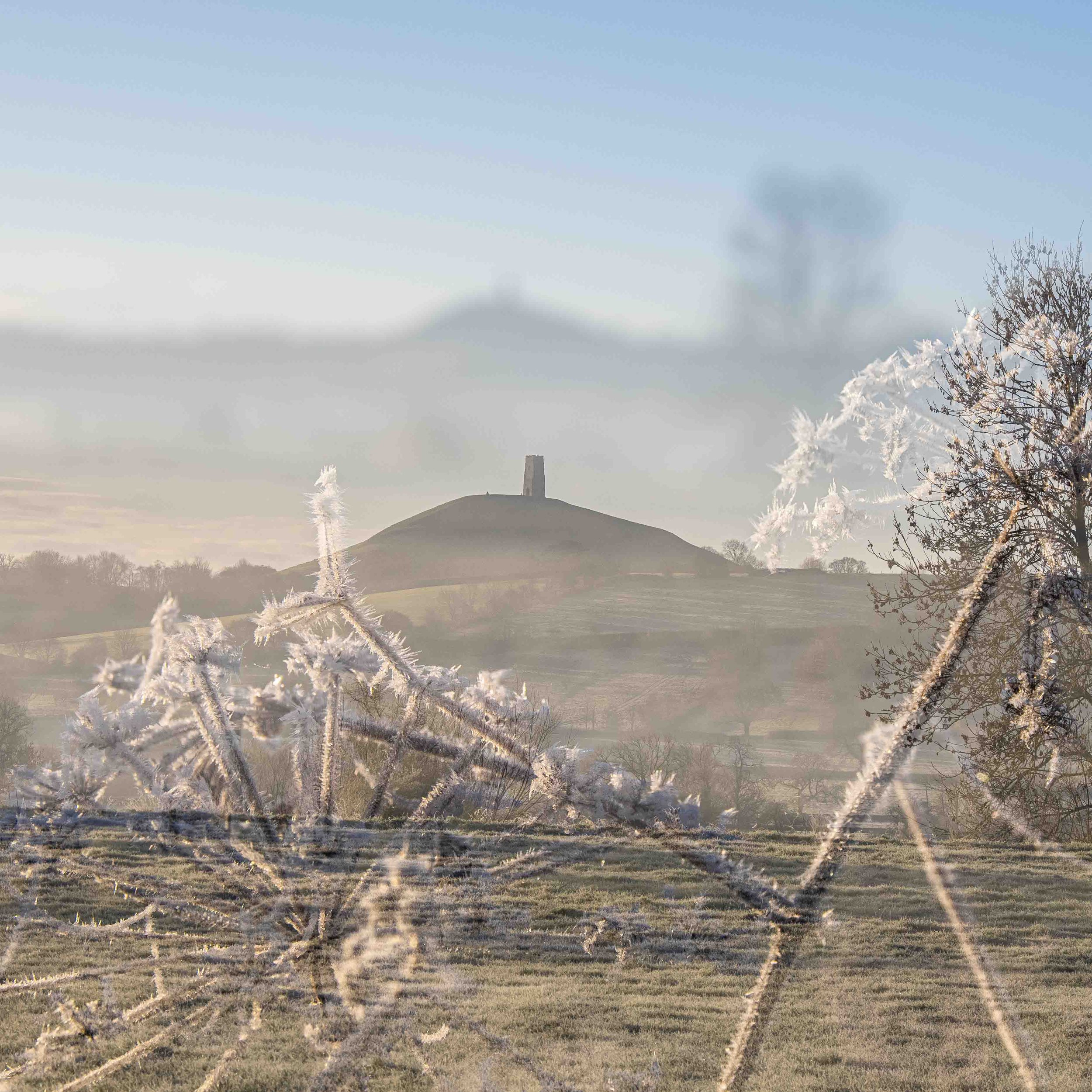 Hoar Frost on Avalon