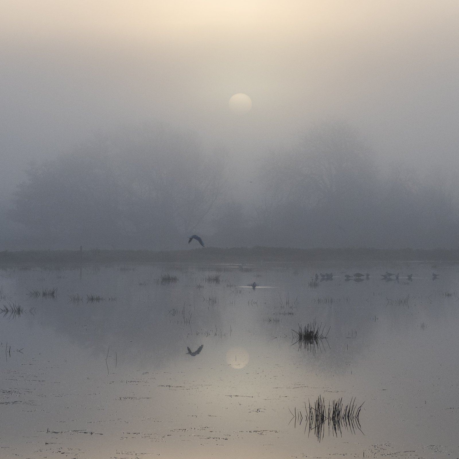 Tranquility