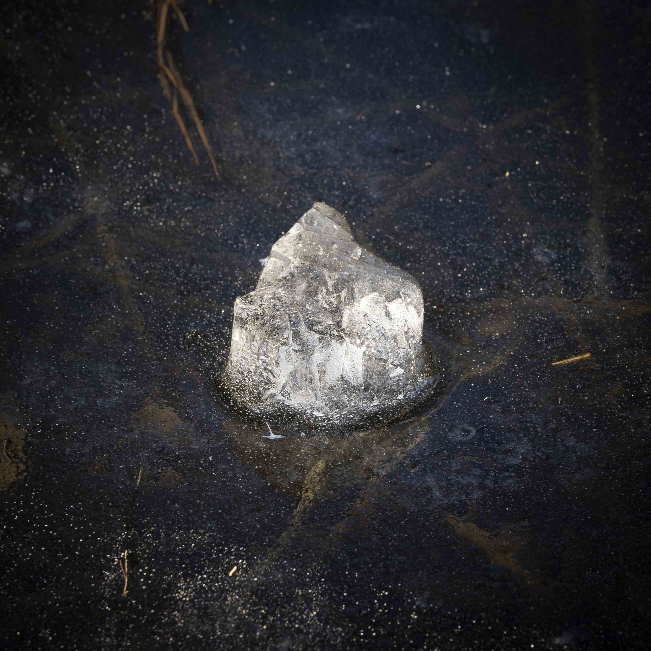 A Diamond in the Pond