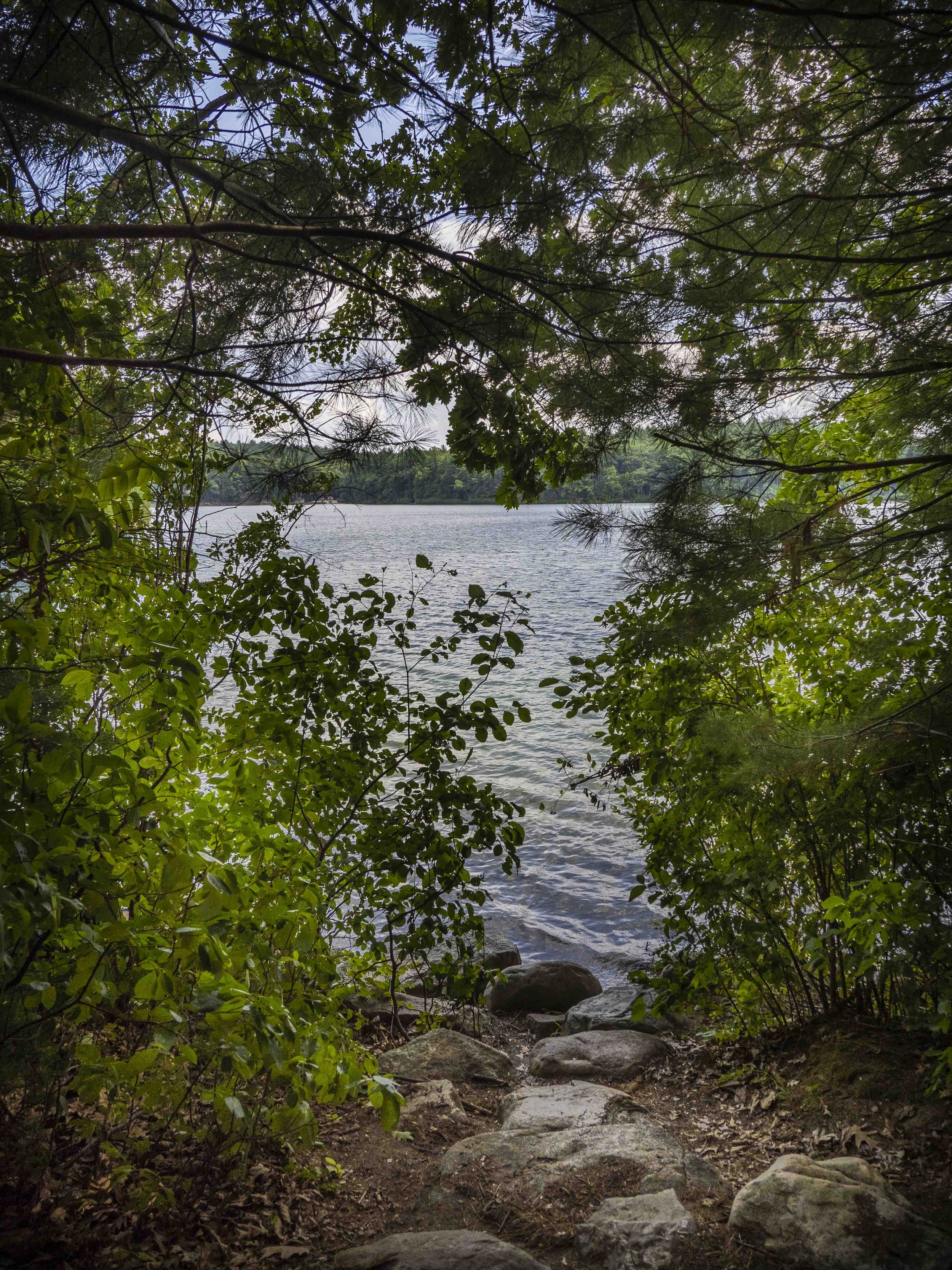 Walden Pond