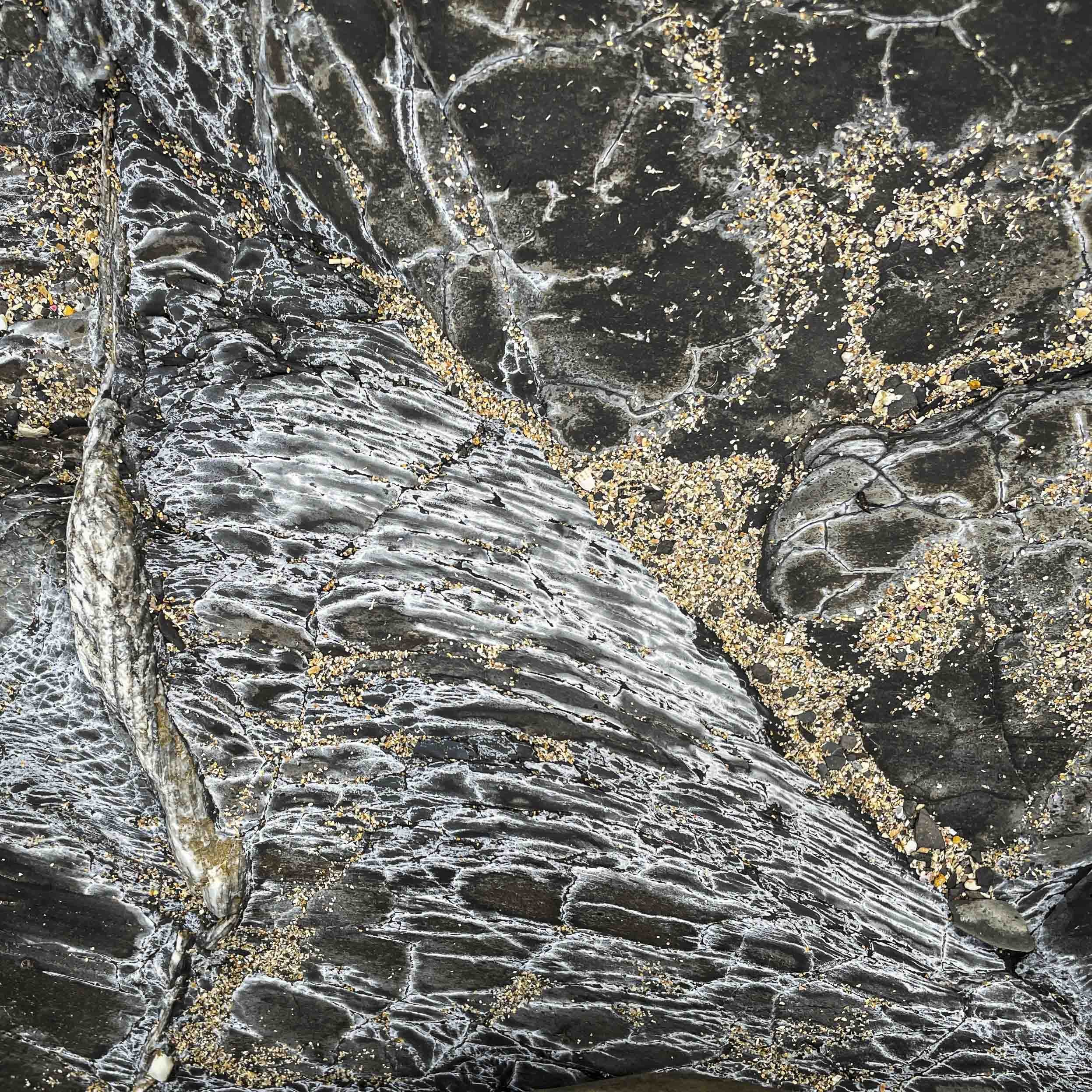 Kimmeridge Beach 1