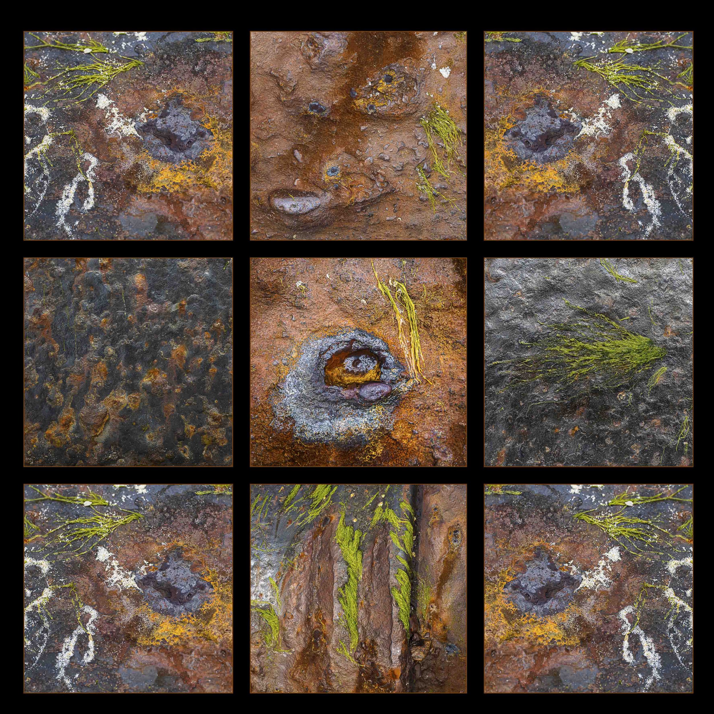 The Rusty Sewage Outflow Pipe