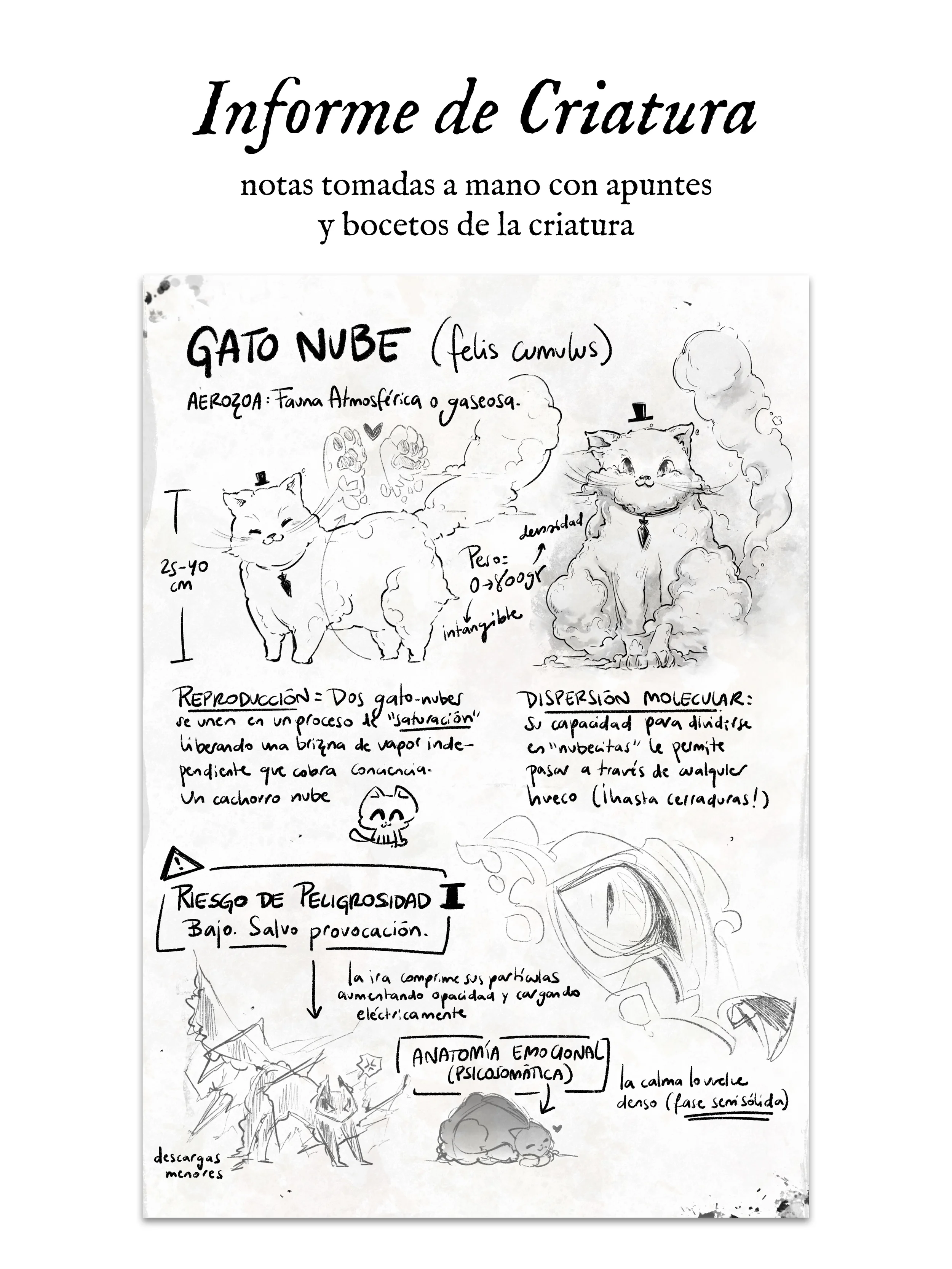 carta5.webp