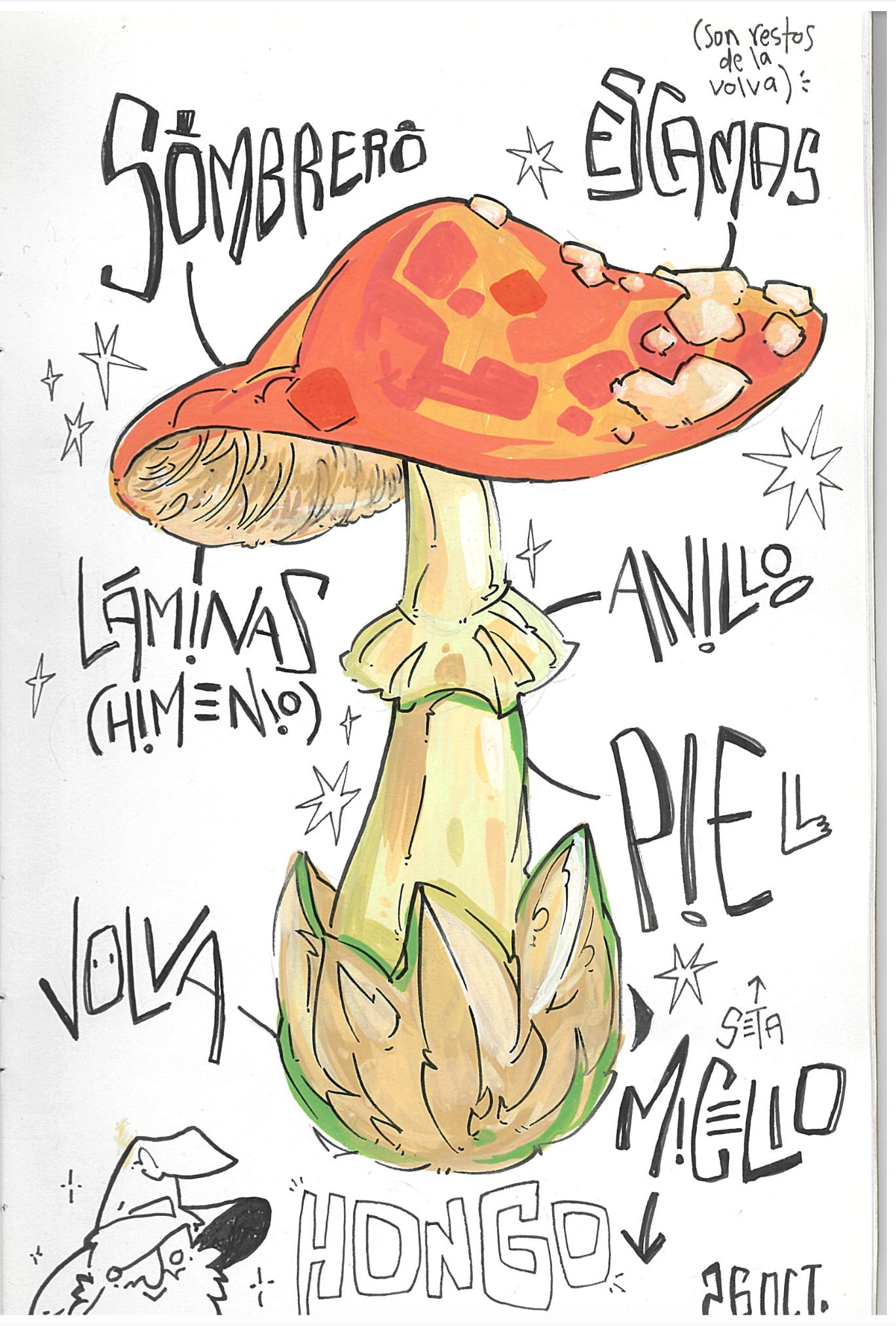 Captura de pantalla 2026-09-28 a las 14.18.40.png