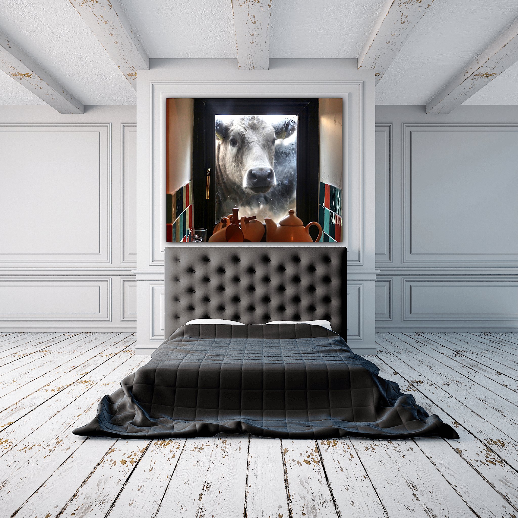 curious cow.jpeg