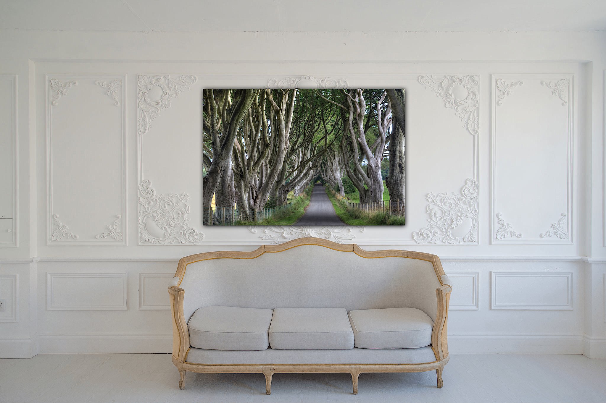 dark hedges.jpeg
