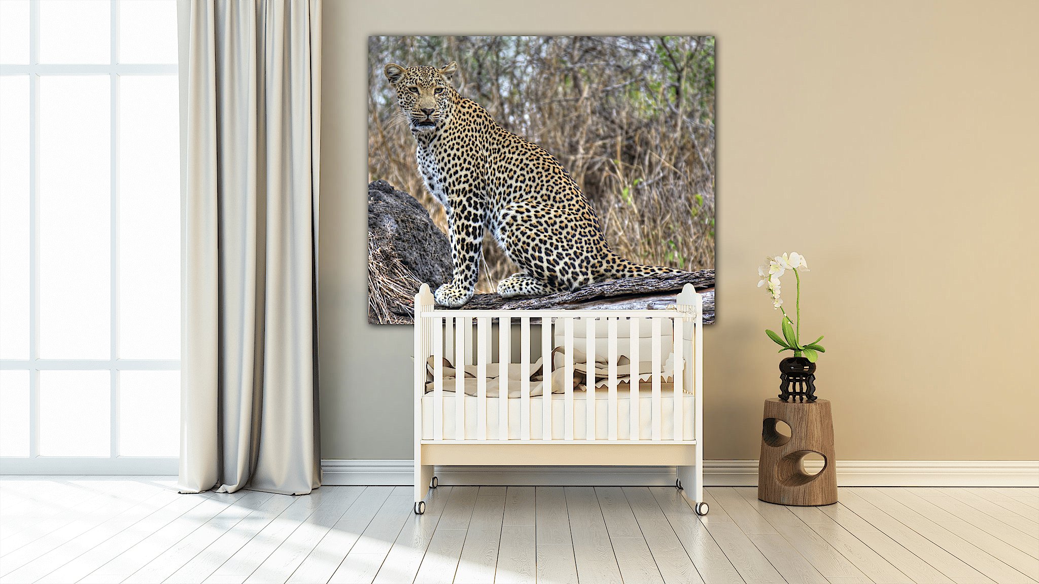 leopard.jpeg