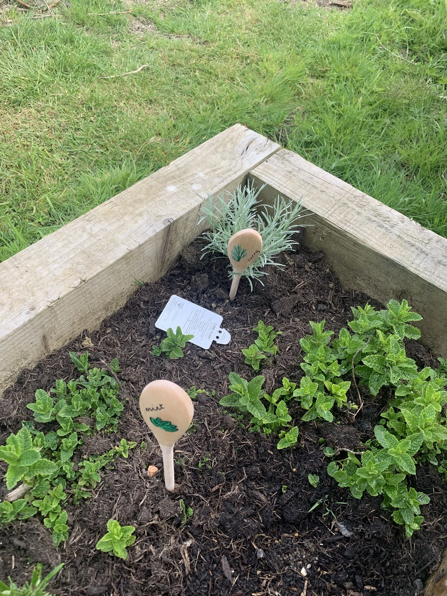 Grandparent Day and Parent Day at the Allotment