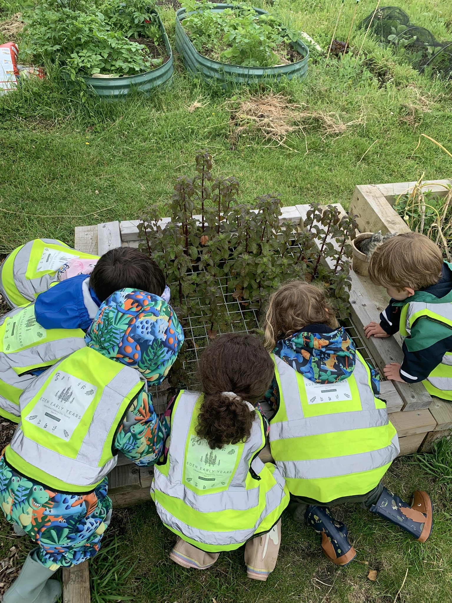 A group of children and adults watching giraffes at a zoo, standing by a wooden fence. The children wear yellow vests. Two giraffes are visible in the background. Lush greenery and a cloudy sky complete the scene.