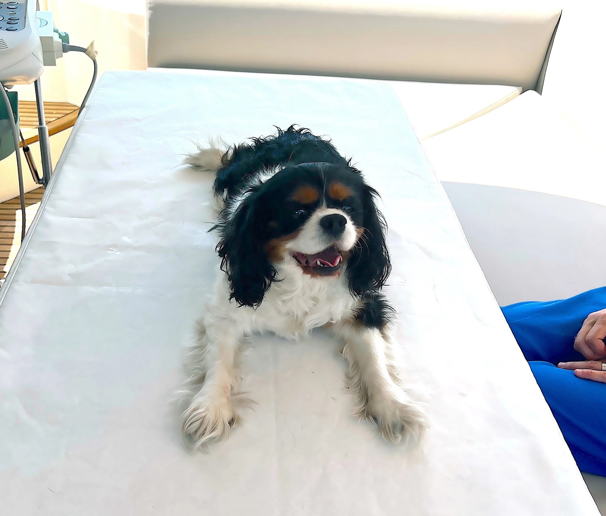 temp_image_for_default_share 5.jpeg