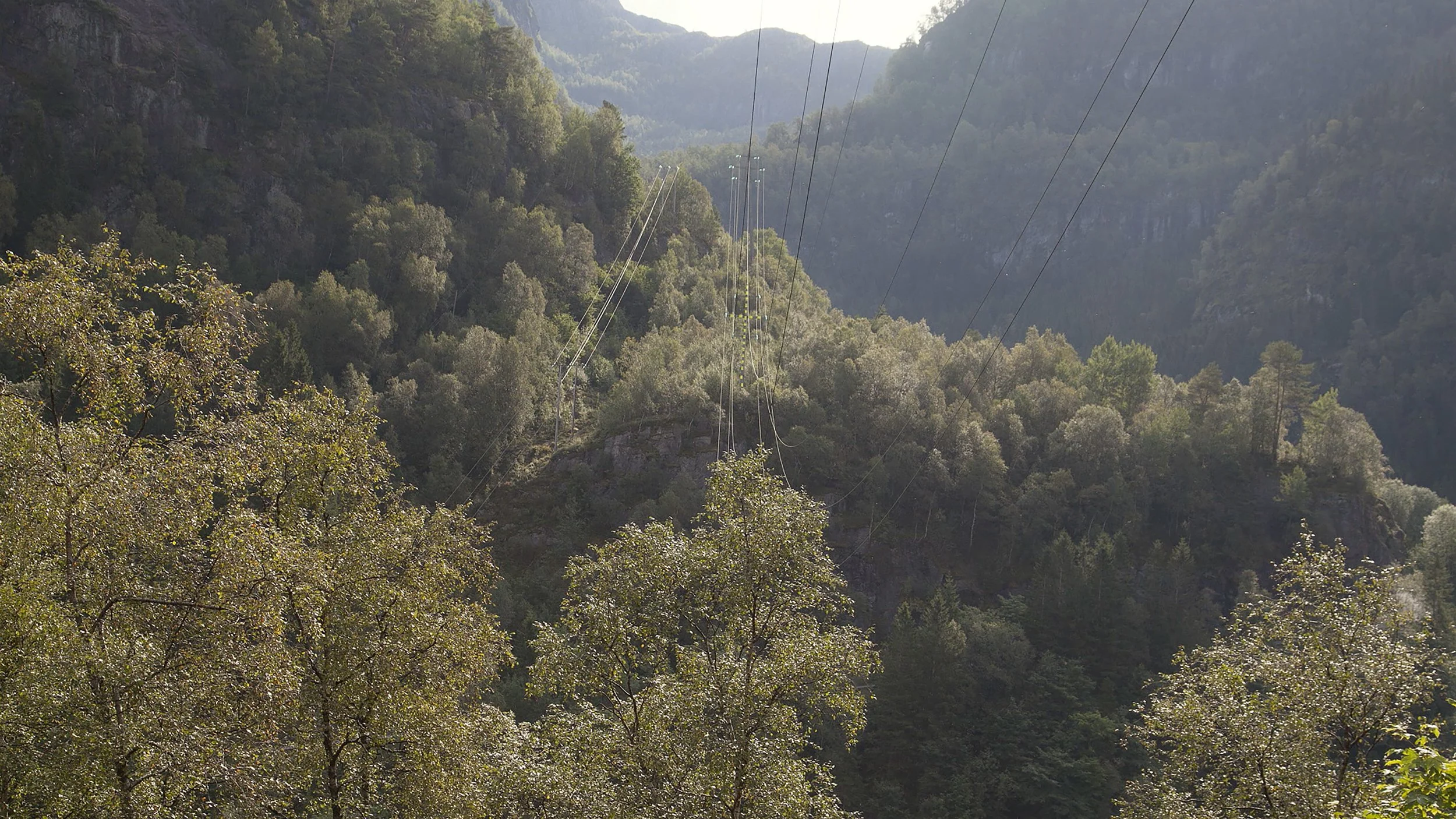 The Valley