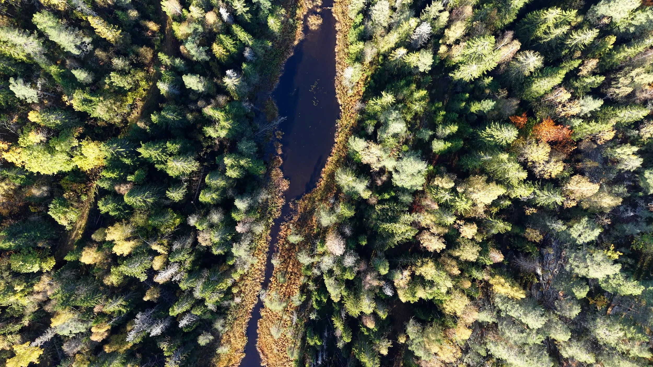 EcoEchos