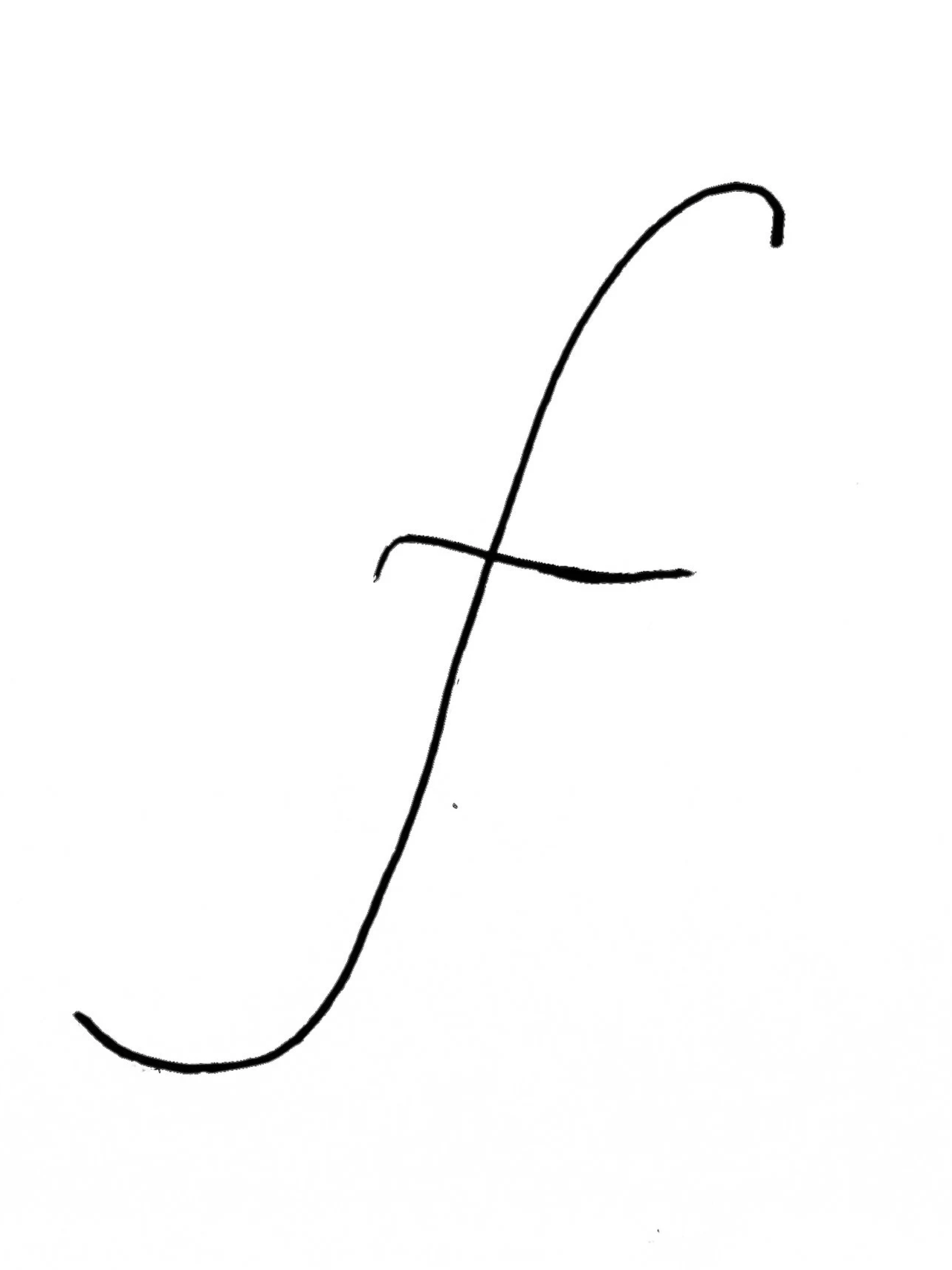 Shop — fiore